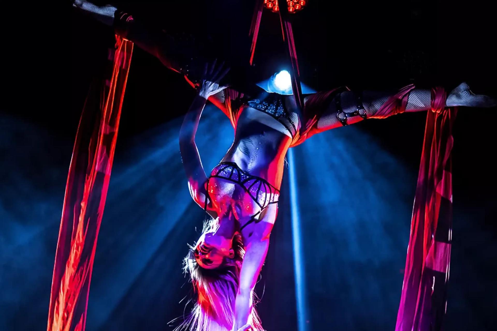 Rouge Show Ticket in Las Vegas - Thumbnail 6
