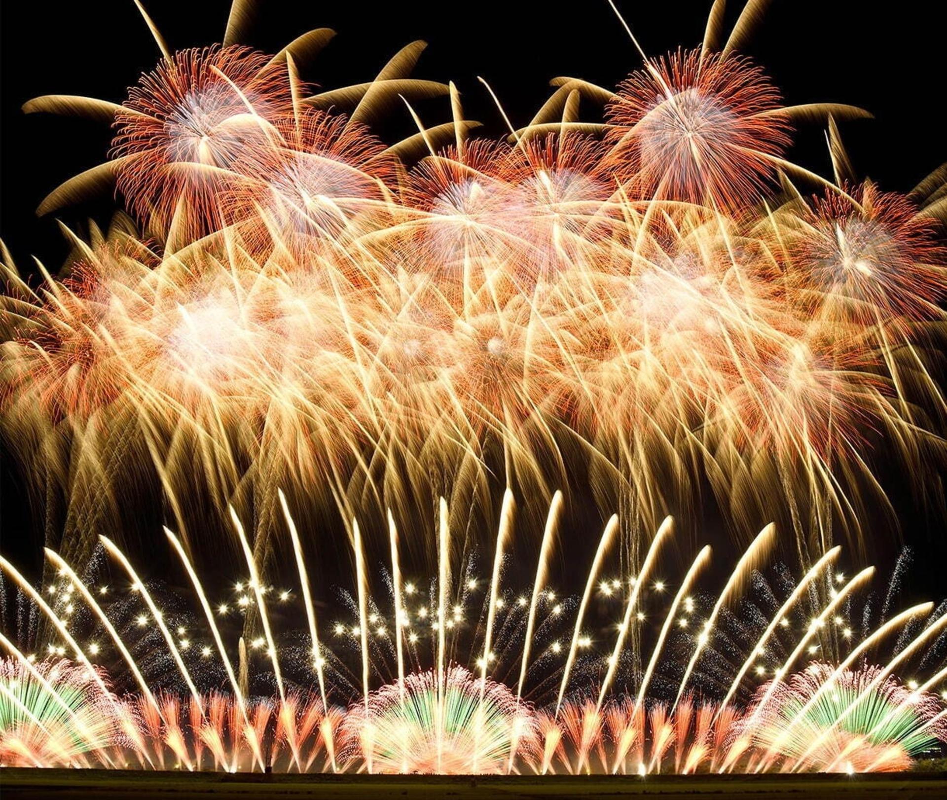Autumn Fireworks Festival 1-Day Tour: Tsuchiura Fireworks Competition (includes admission ticket) / Kinugawa Fireworks (includes admission ticket) / Oarai Sea Fireworks / Tonegawa Fireworks - Thumbnail 4