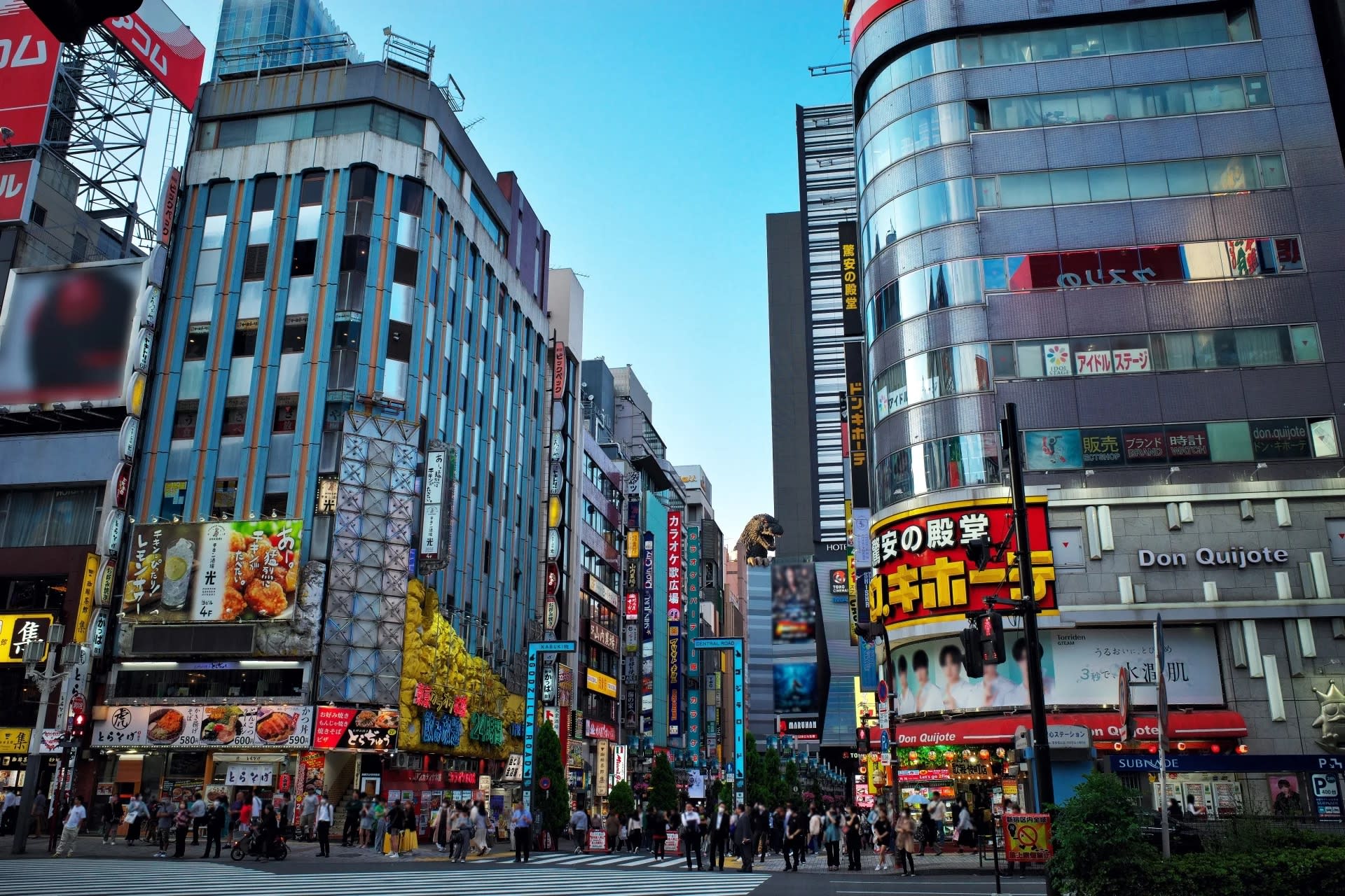 Walking Tour in Shinjuku and Kagurazaka: Hot Spots and Hidden Gems - Image 1