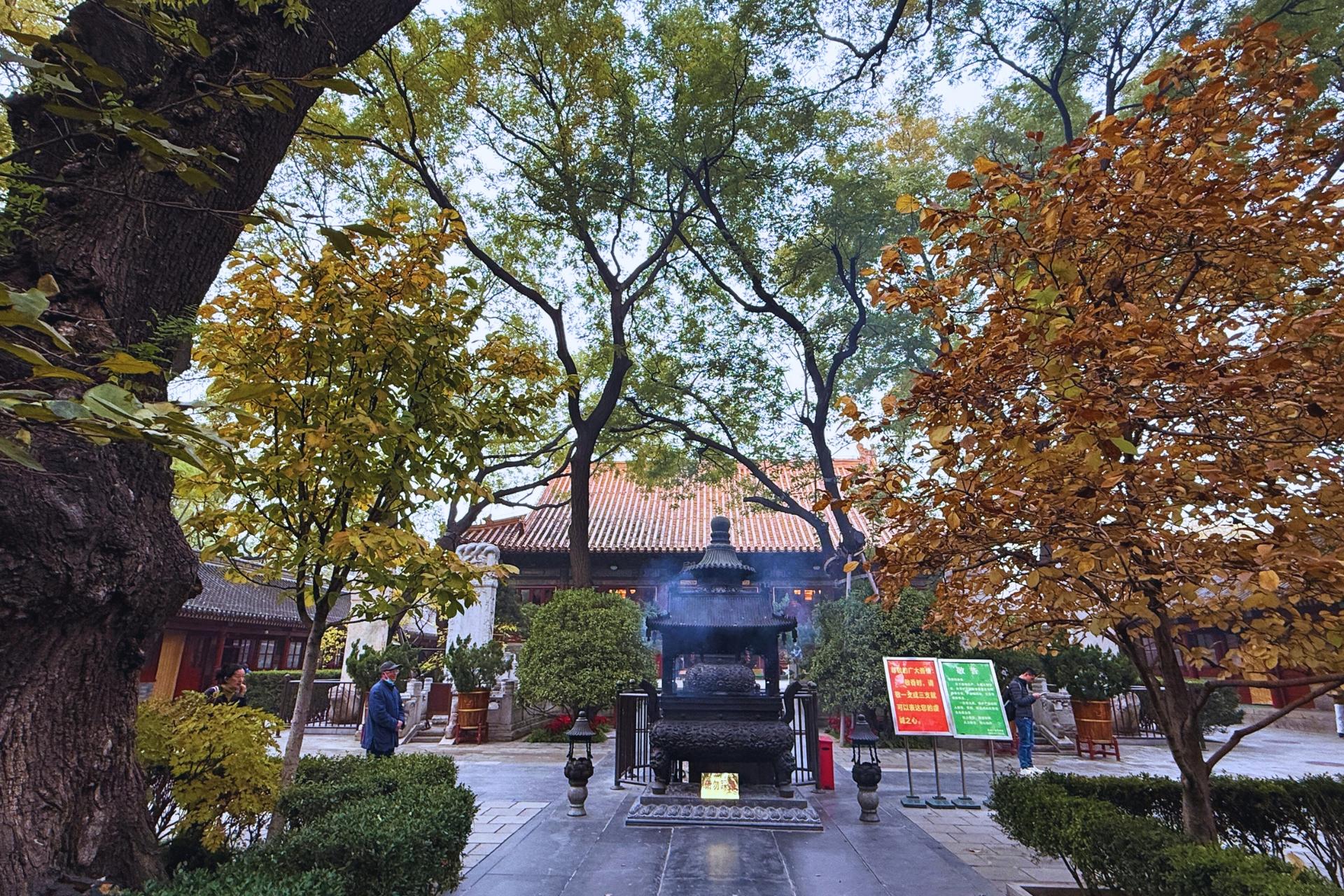 Beijing Hutong Museum Cluster Tour—Culture, Temples & Life - Thumbnail 12