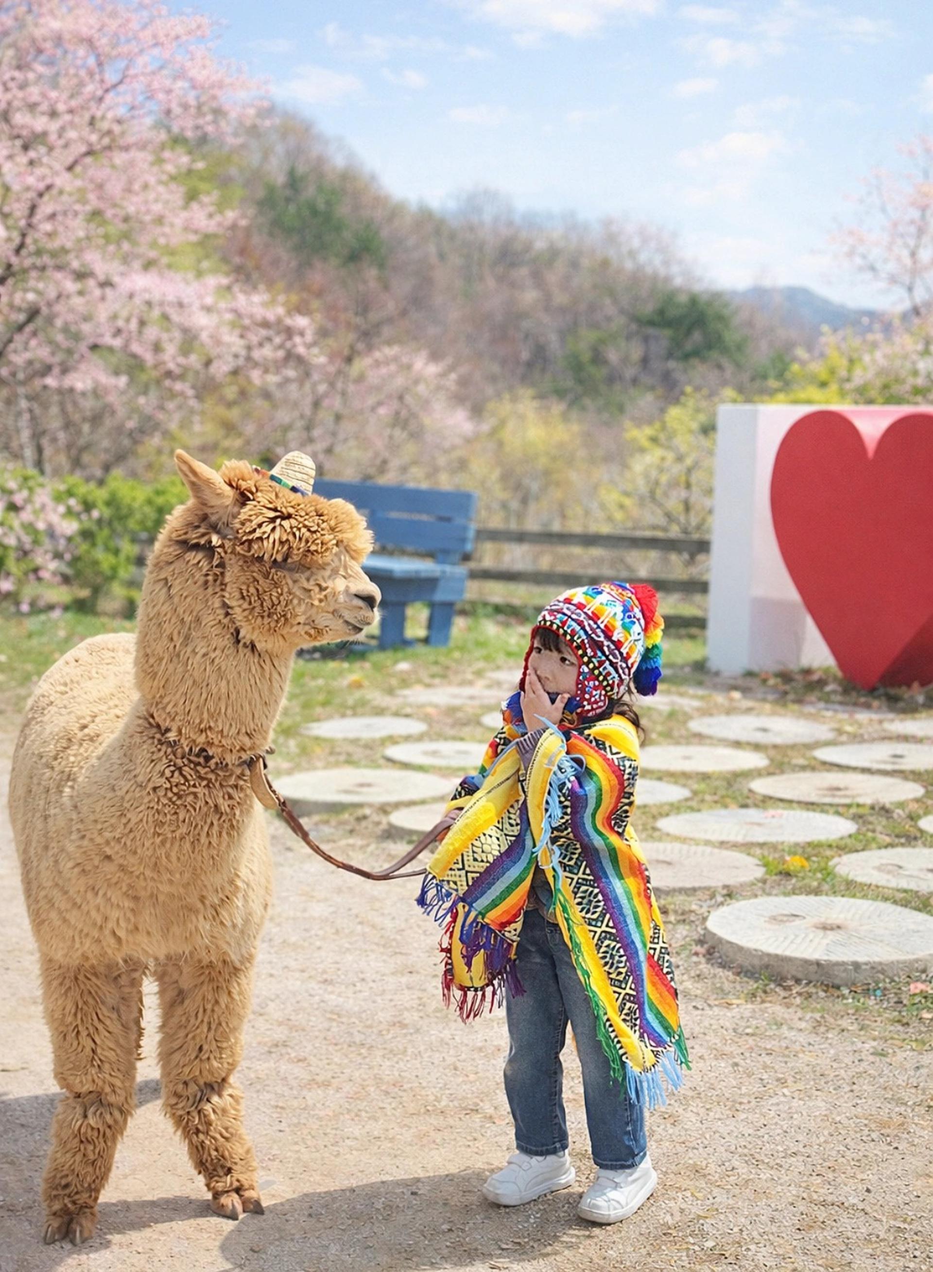 9-Hour Private Car Charter to Nami Island Suburb / Alpaca World from Seoul - Thumbnail 4