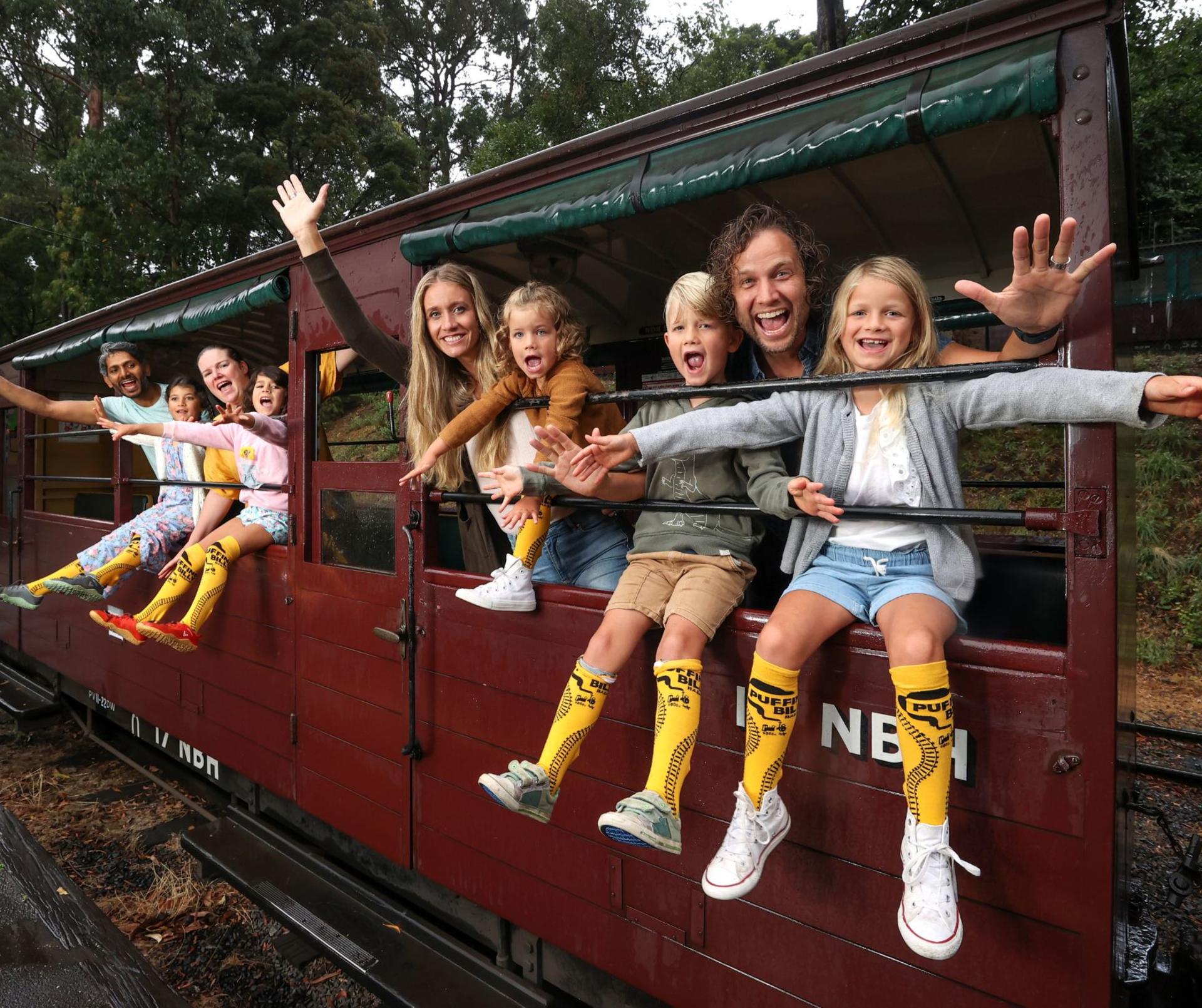 Puffing Billy Half Day Steam Train Tour - Thumbnail 9