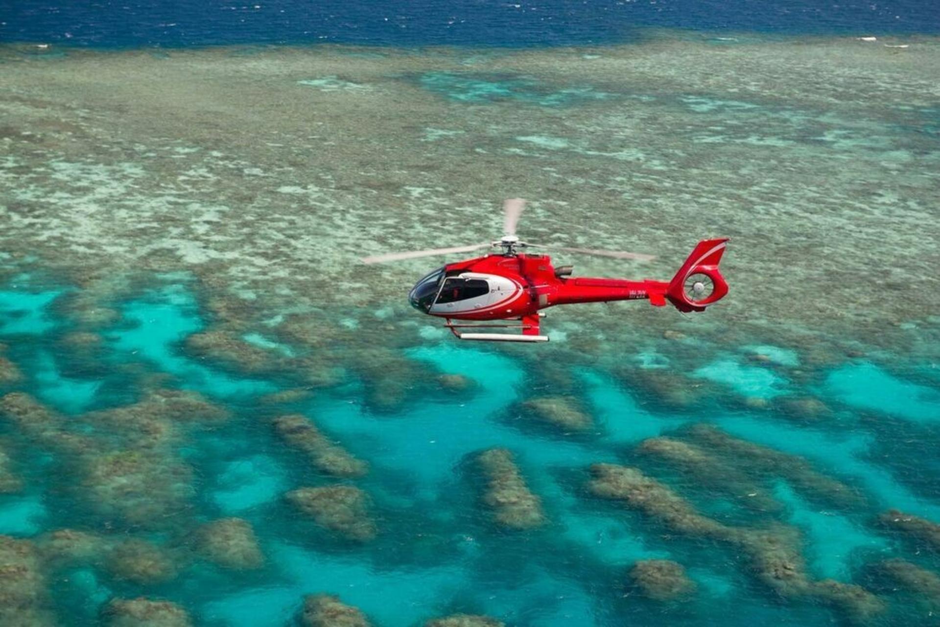 Great Barrier Reef Half Day and Full Day Tours - Thumbnail 10