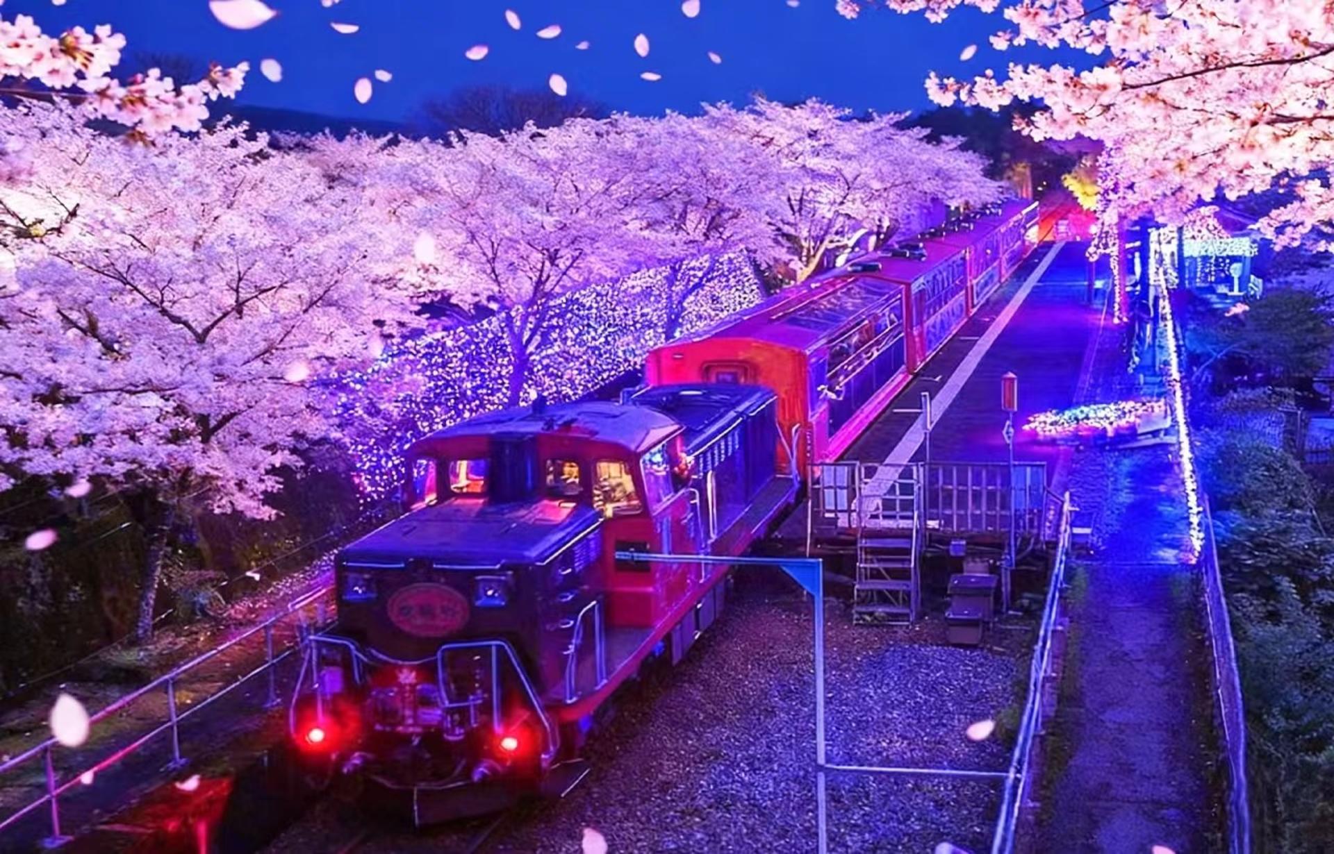 Kyoto Kinkaku-ji Temple, Arashiyama Free Stroll & Night Cherry Blossom/Autumn Leaves Illumination Arashiyama Sagano Romantic Train Day Trip (Departing from Osaka/Kyoto) - Image 1