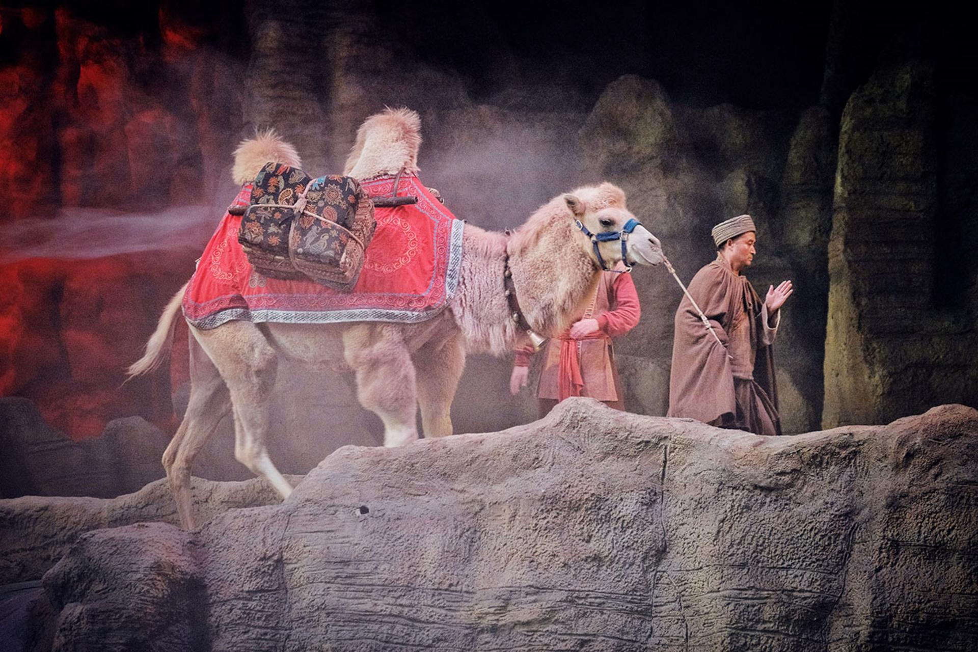 Terracotta Army + Camel Bells Legend/Romance of Xi'an Show Private Day Tour (Chinese and English Speaking Guide) - Thumbnail 5