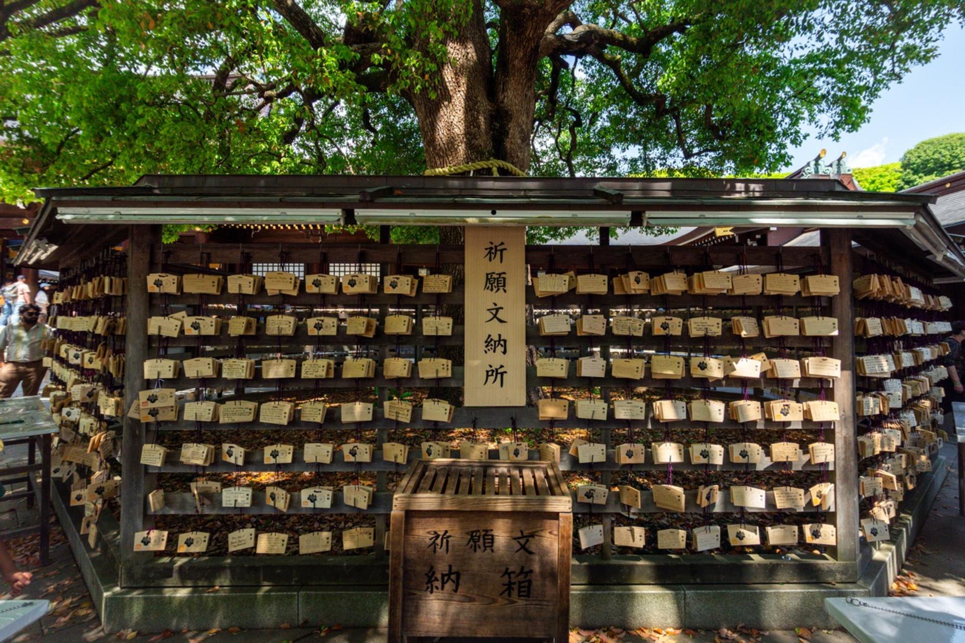 Tokyo: Meiji Shrine & Shinto Culture Walking Tour - Thumbnail 23