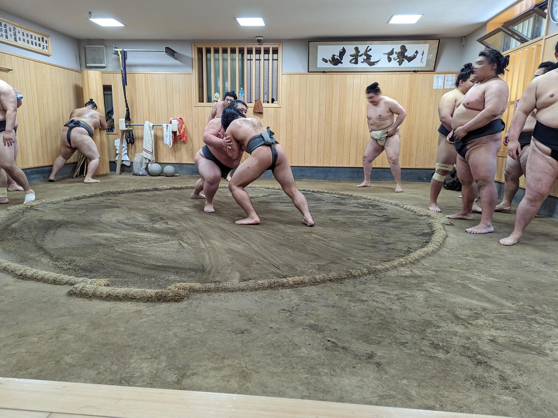 Find Your Favorite Wrestler at Morning Sumo Practice - Thumbnail 5