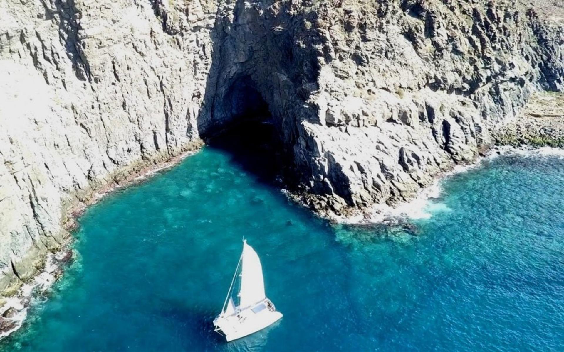 Whale and dolphin watching catamaran experience in Costa Adeje - Thumbnail 2