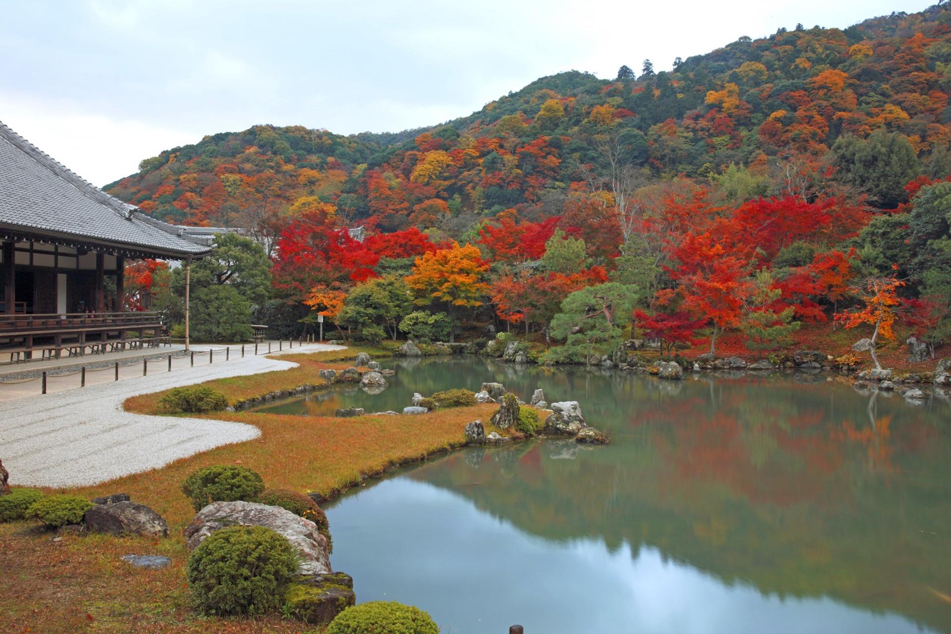 Kyoto Arashiyama Walking Tour: Sagano Bamboo Grove & Tenryu-ji - Thumbnail 12