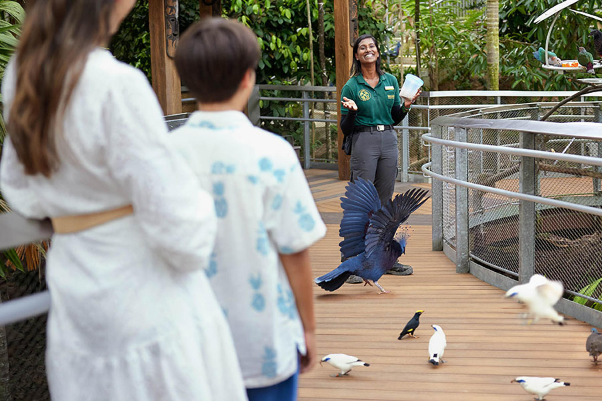 Bird Paradise Ticket | Mandai Wildlife Reserve, Singapore - Thumbnail 23