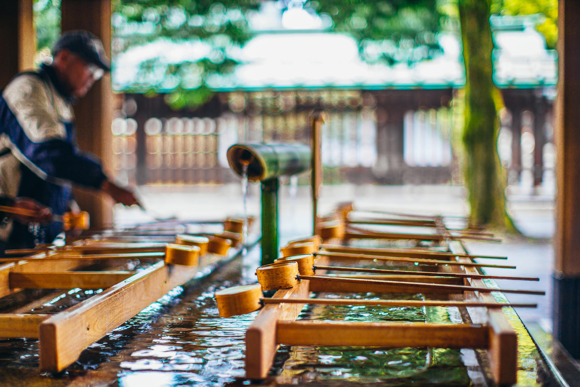 Best of Tokyo Small Group Walking Tour - Thumbnail 7