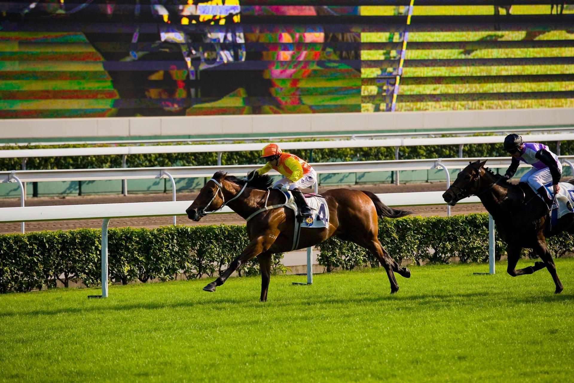 Hong Kong Jockey Club Sha Tin Racecourse Transfer (Guangdong Departure) - Thumbnail 4