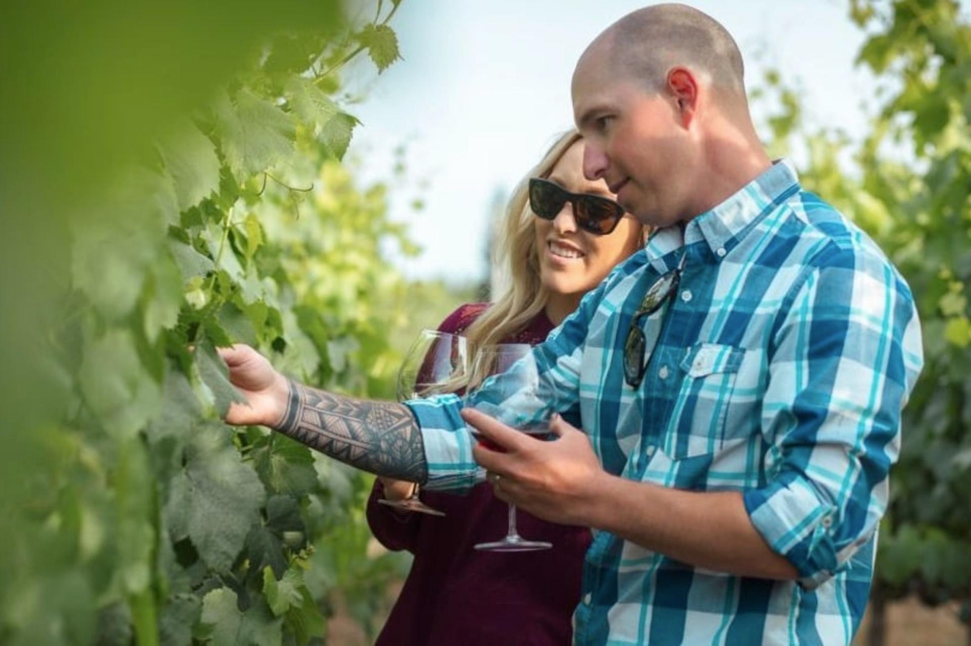 Small Group Sonoma Wine Country Tour from San Francisco - Thumbnail 4