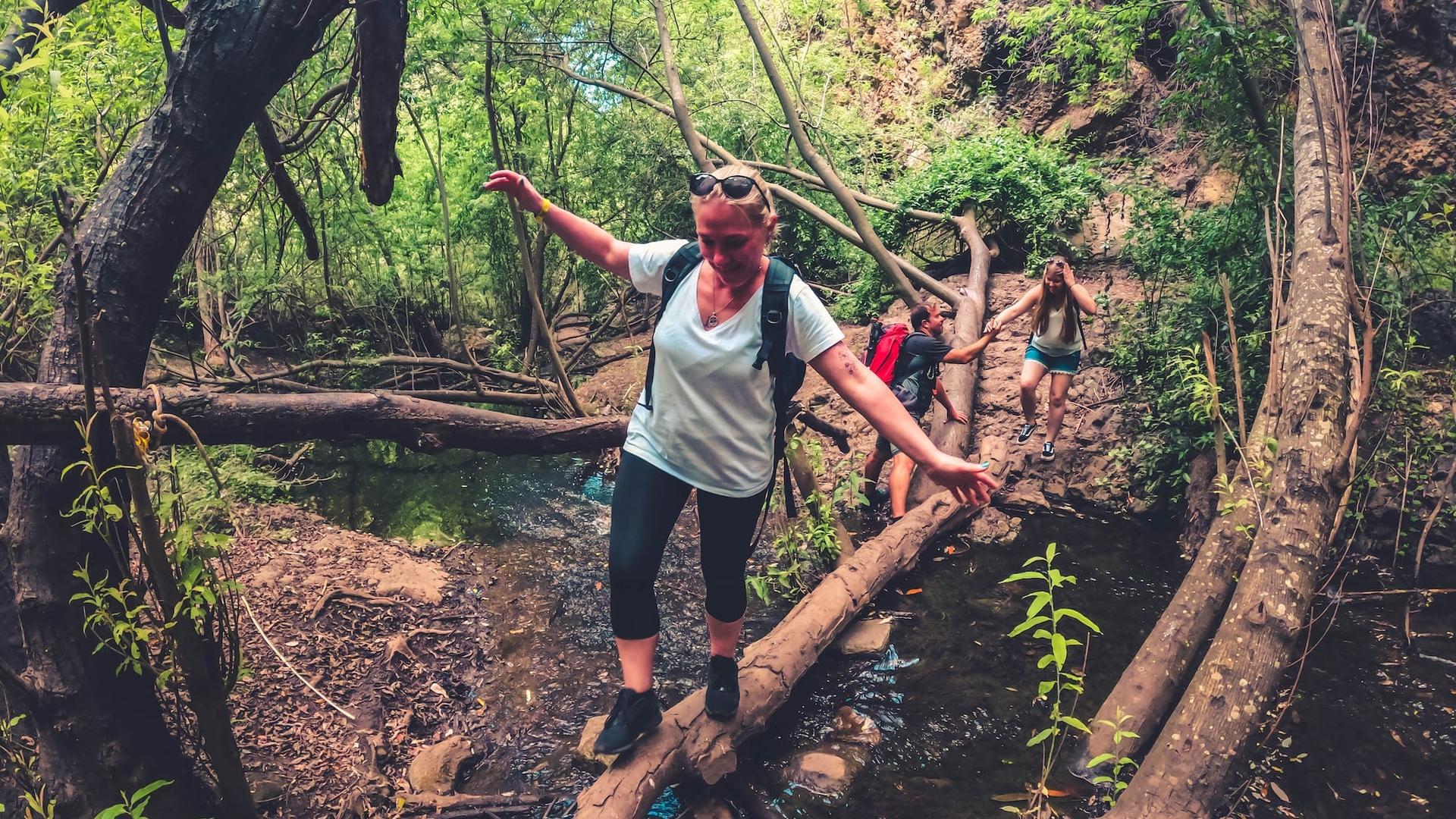 Eco-friendly rainforest trekking tour in Gran Canaria - Image 1