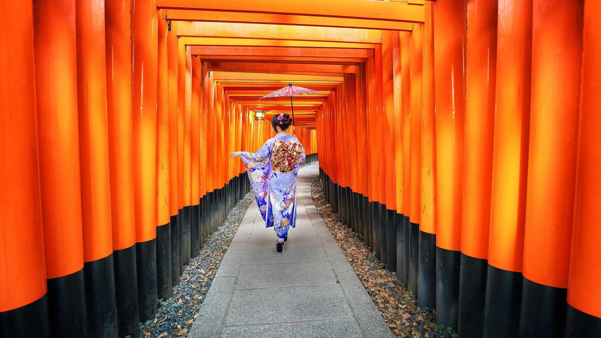 Best of Kyoto & Nara: Kiyomizudera, Nara Park, Todaiji & Much More - Thumbnail 12