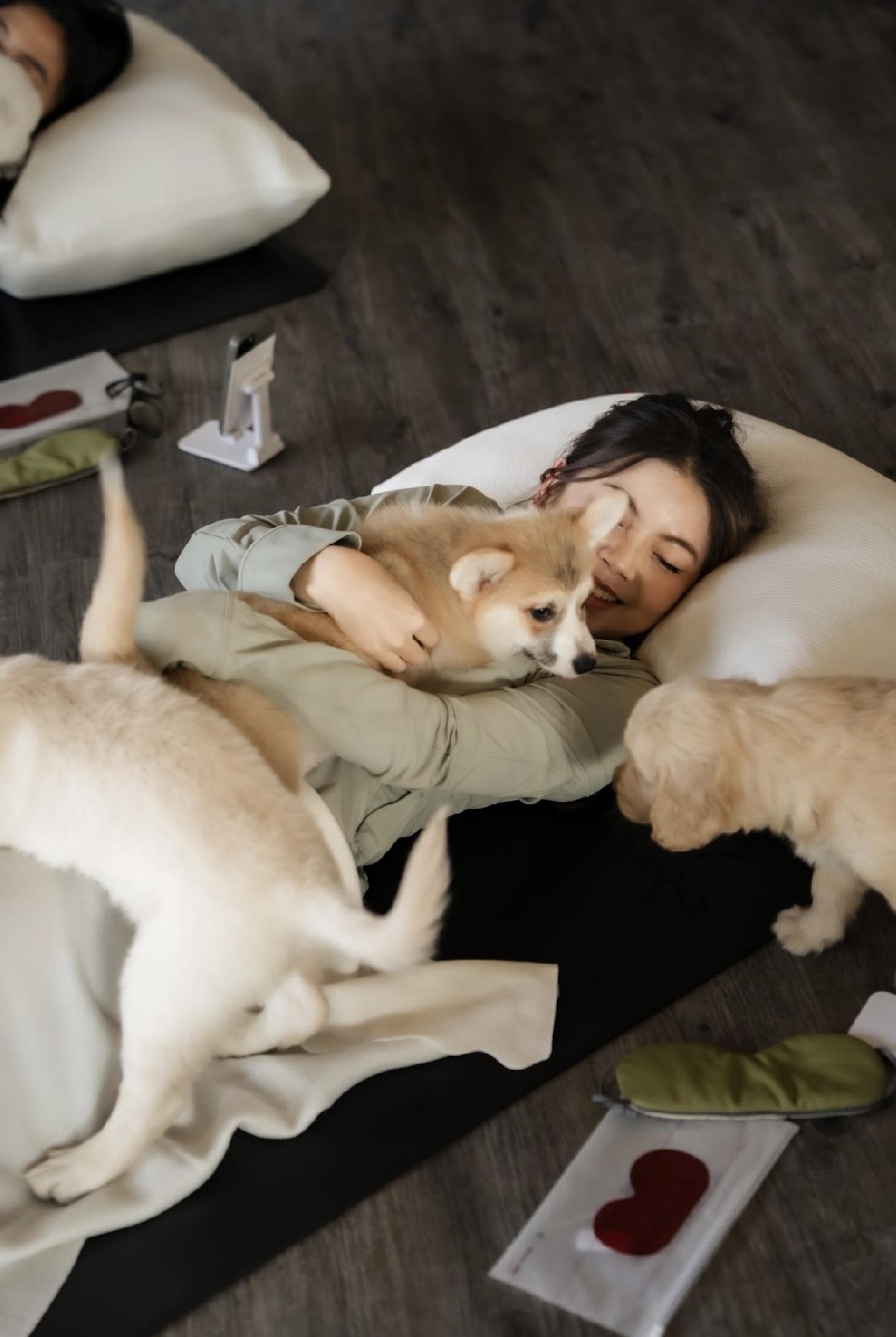 Puppy & Kitten Yoga Therapy with Photo Experience in Bangkok - Thumbnail 7