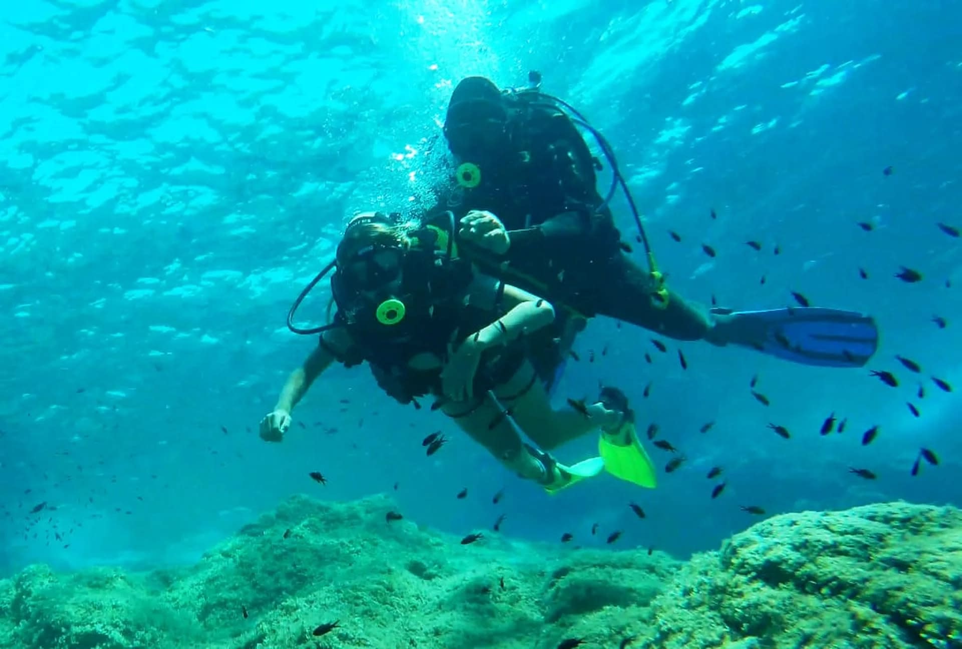 Elba Island Dive Discovery: Experience Scuba Diving with PADI Center - Thumbnail 9