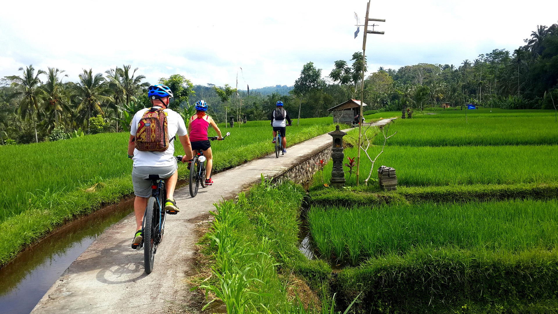 Ubud eBike (Electric Bike) Cycling Tour - Thumbnail 6