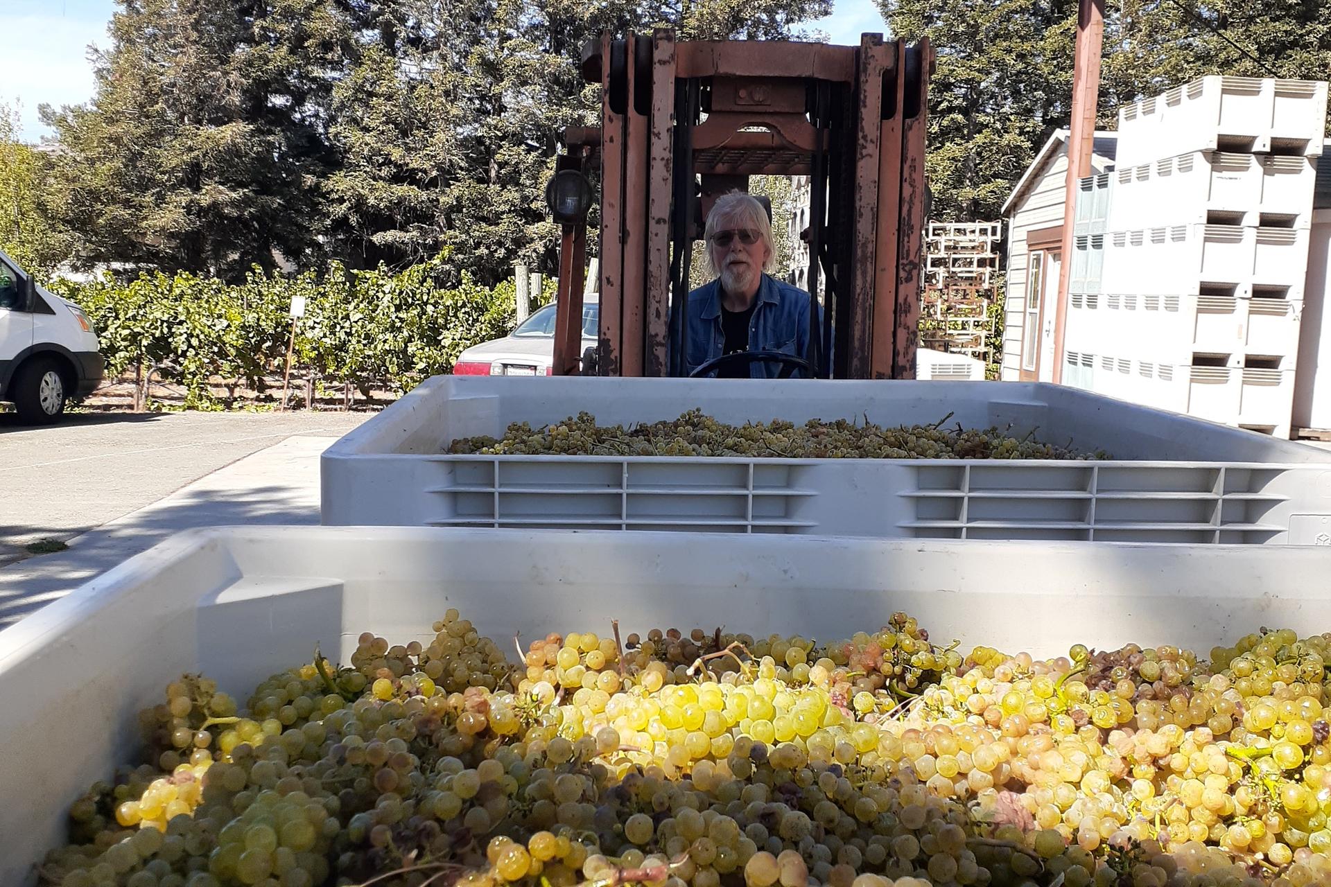 Small Group Sonoma Wine Country Tour from San Francisco - Thumbnail 13