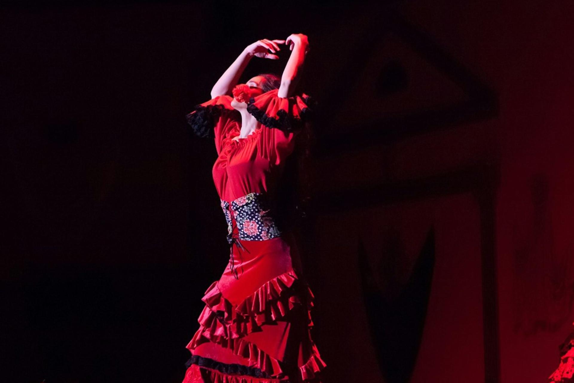 Flamenco show at El Palacio Andaluz in Seville - Thumbnail 9