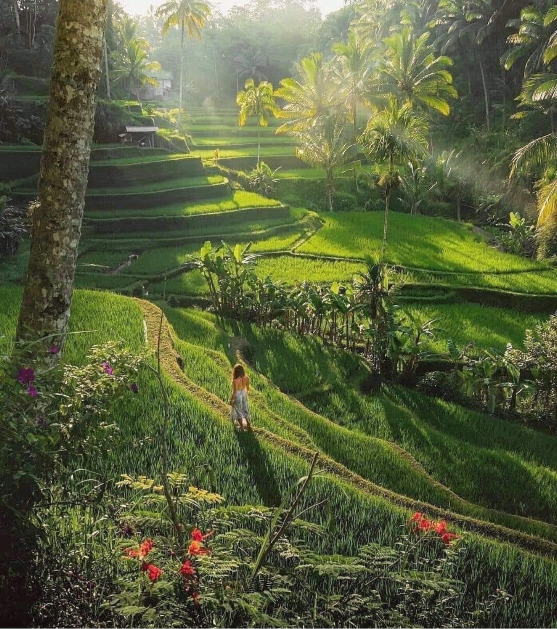  Best of Ubud Private Day Tour with Kecak Dance - Thumbnail 14