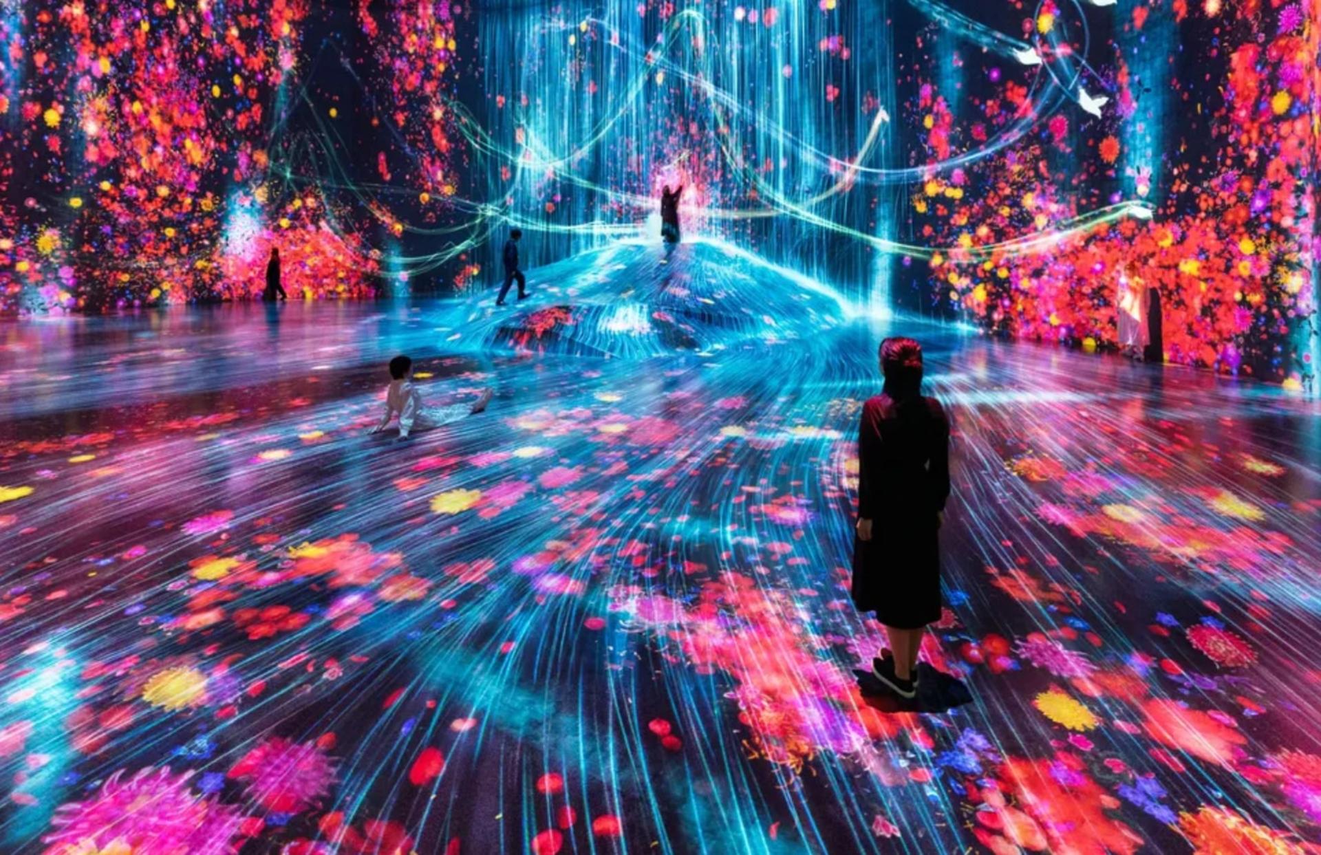 Have Fun in Tokyo Premium Pass (with options: Warner Brothers and teamLab Planets Tokyo) - Thumbnail 9