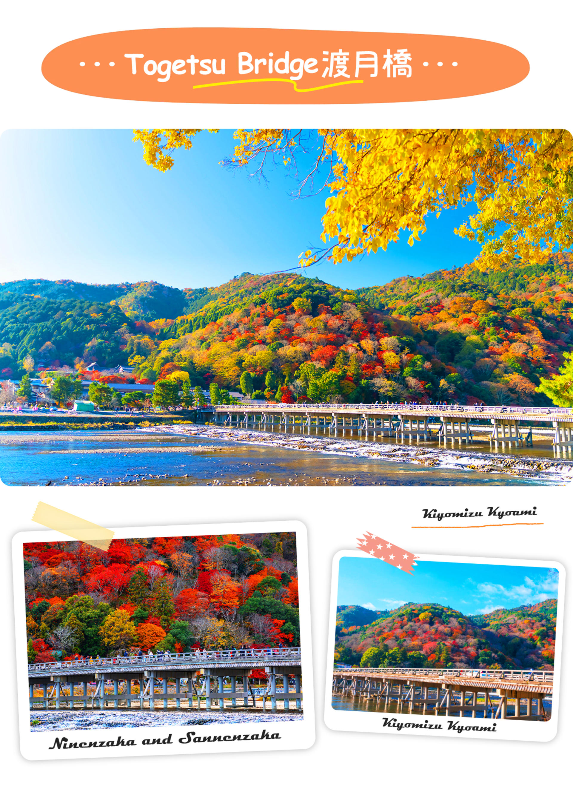 Kyoto Dream Illumination Autumn Foliage Day Tour - Kinkaku-ji & Arashiyama (Includes Night Maple Train - Departing from Osaka/Kyoto) - Thumbnail 6