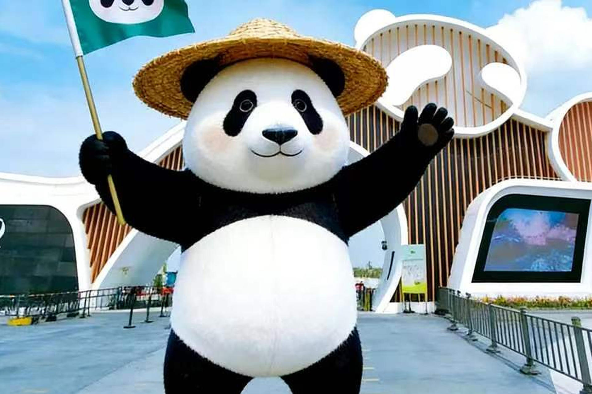 Chengdu Research Base of Giant Panda Breeding Half-Day Tour | Private Tour | Chinese, English and other language guides available - Image 1