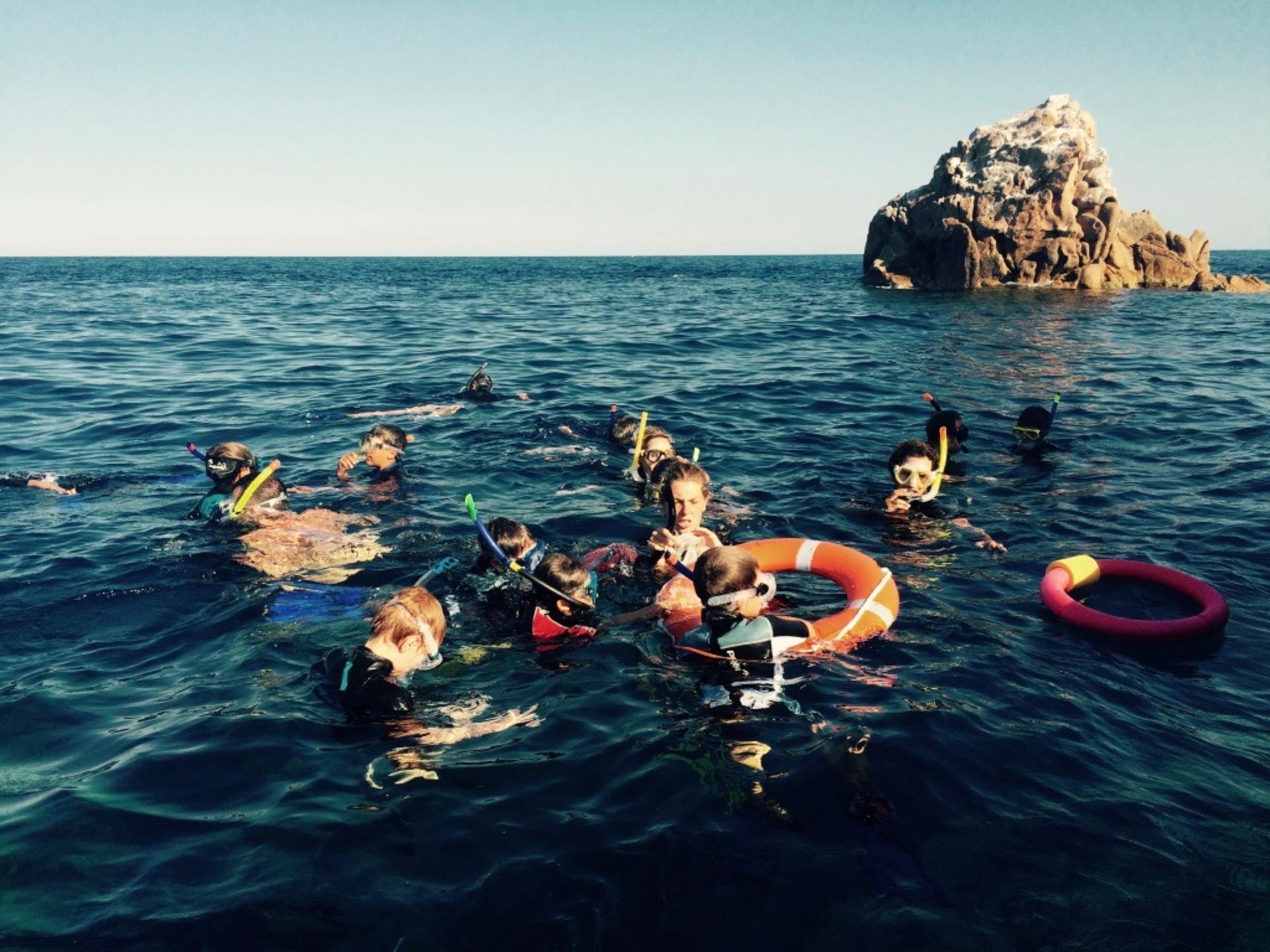 Snorkel Safari in San Teodoro: Half-Day Excursion with PADI Center - Thumbnail 4