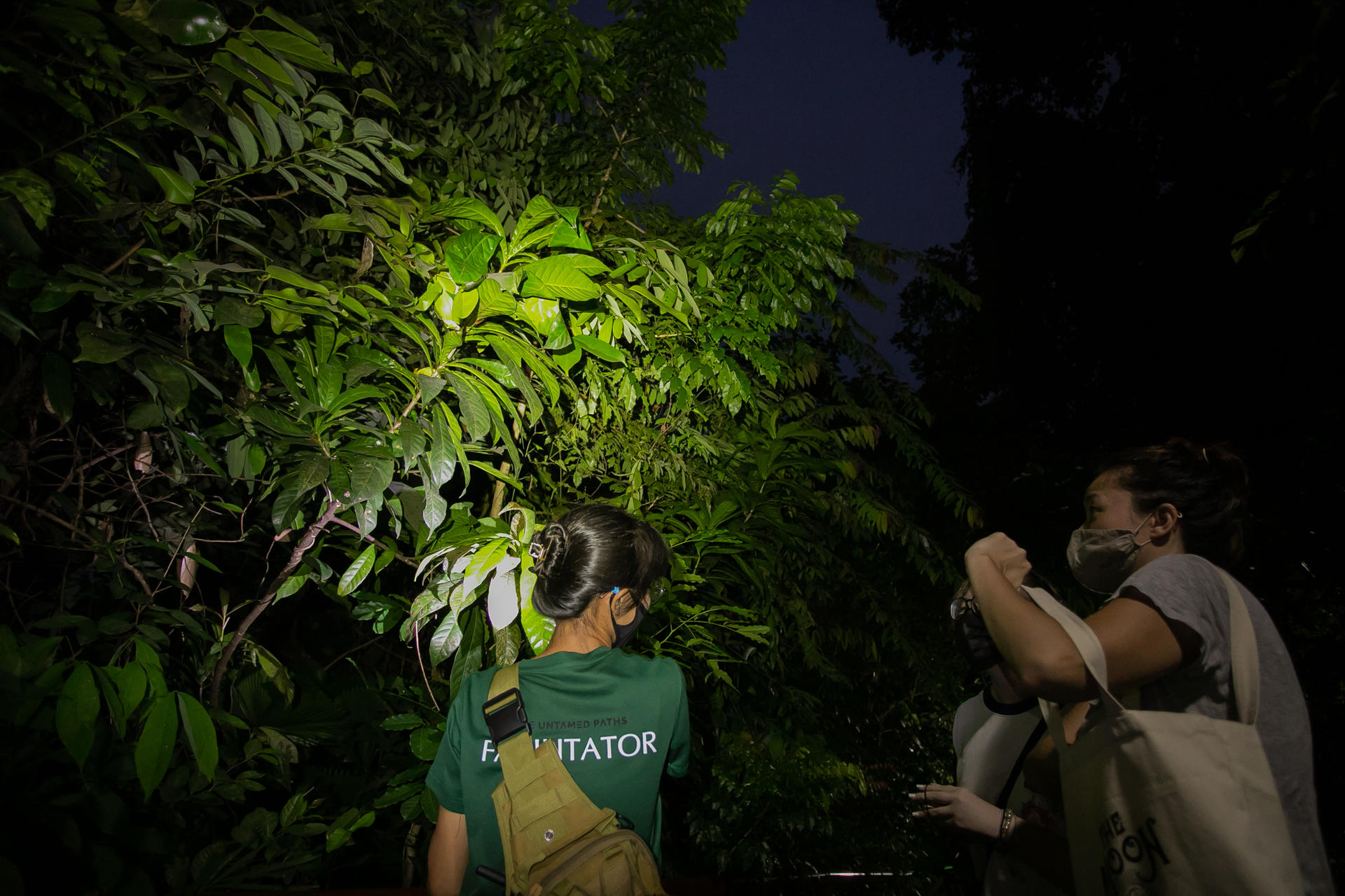 Naturalist Night Adventure by The Untamed Paths - Image 1