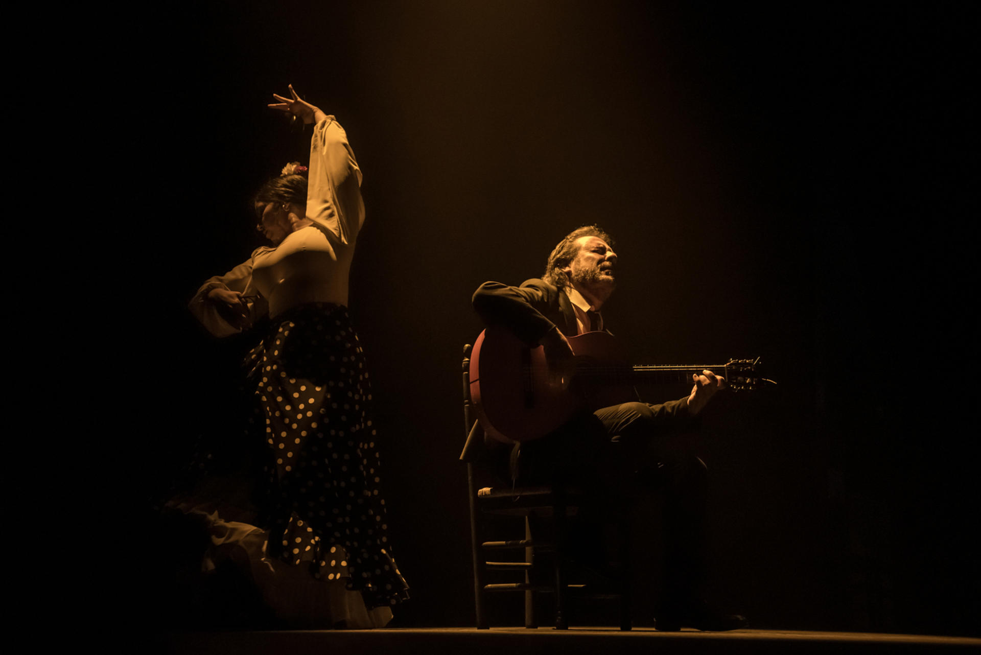 Emociones Flamenco Show in Madrid - Thumbnail 4