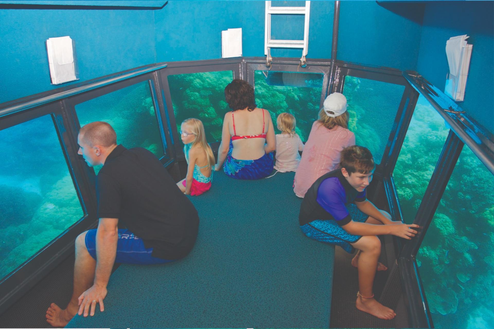 Great Barrier Reef Pontoon from Cairns including Snorkelling - Thumbnail 10