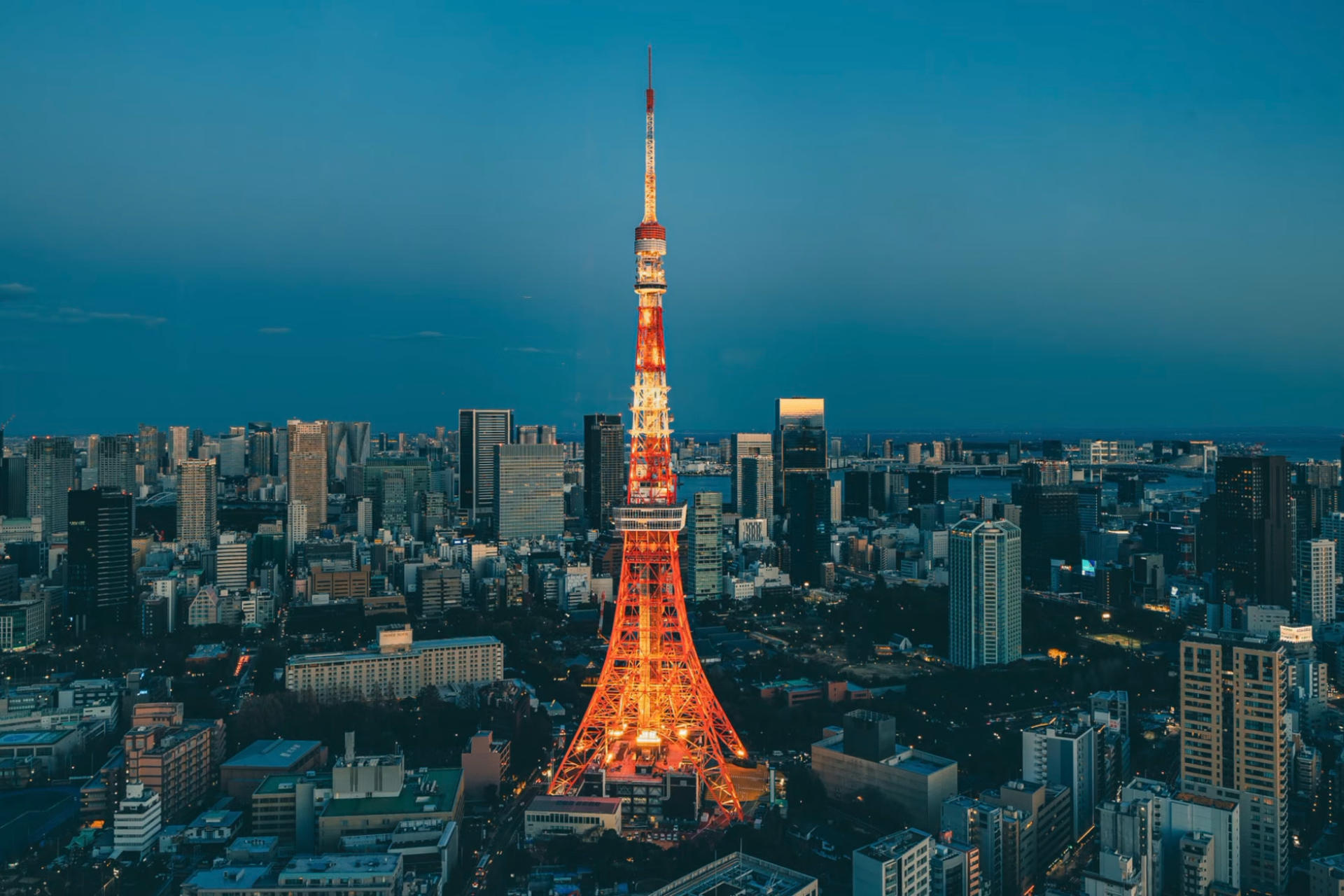 Private small group tour of Tokyo for a day - Image 1