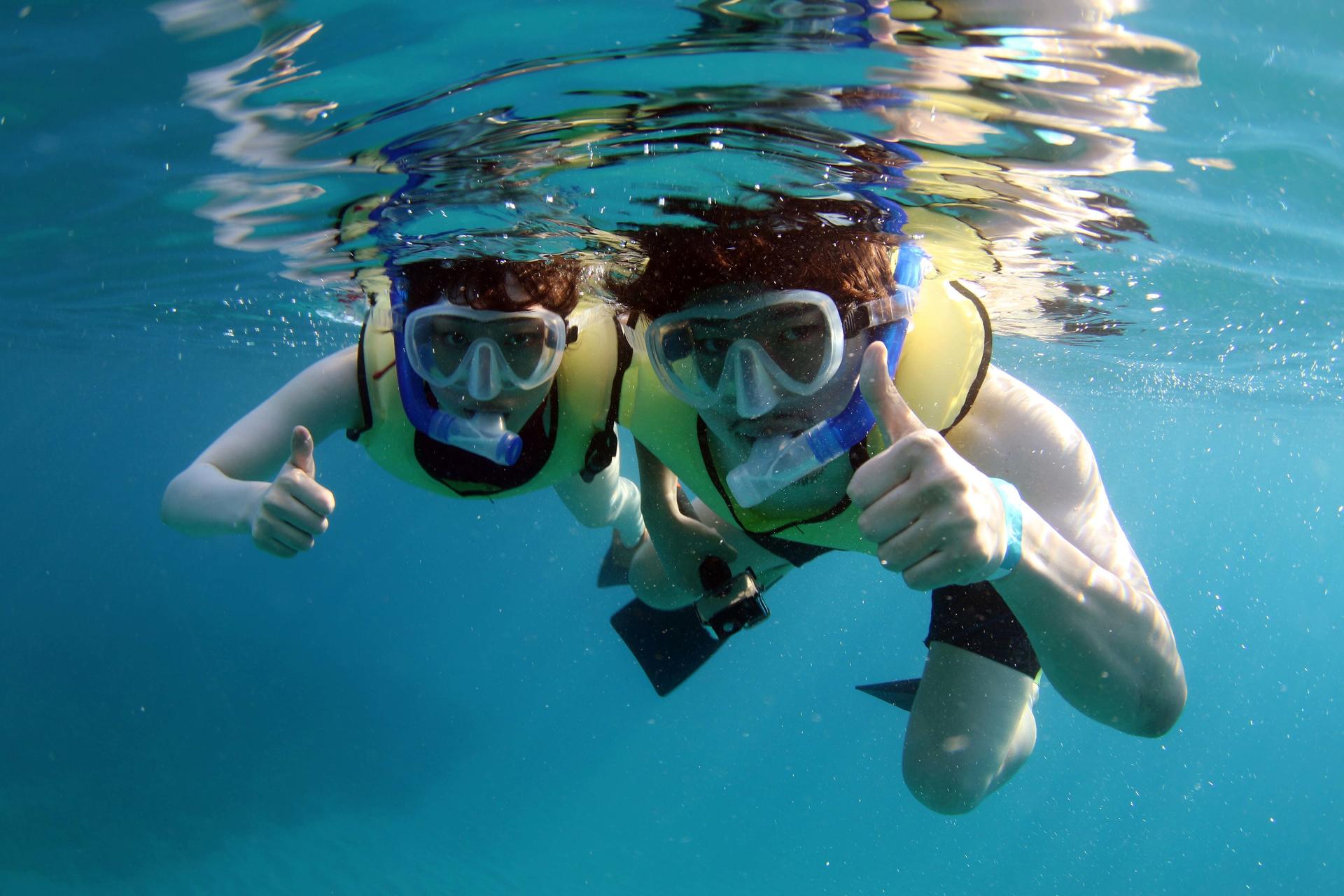 Luxury Morning Snorkel Cruise with Dolphin Watching in Oahu - Image 1