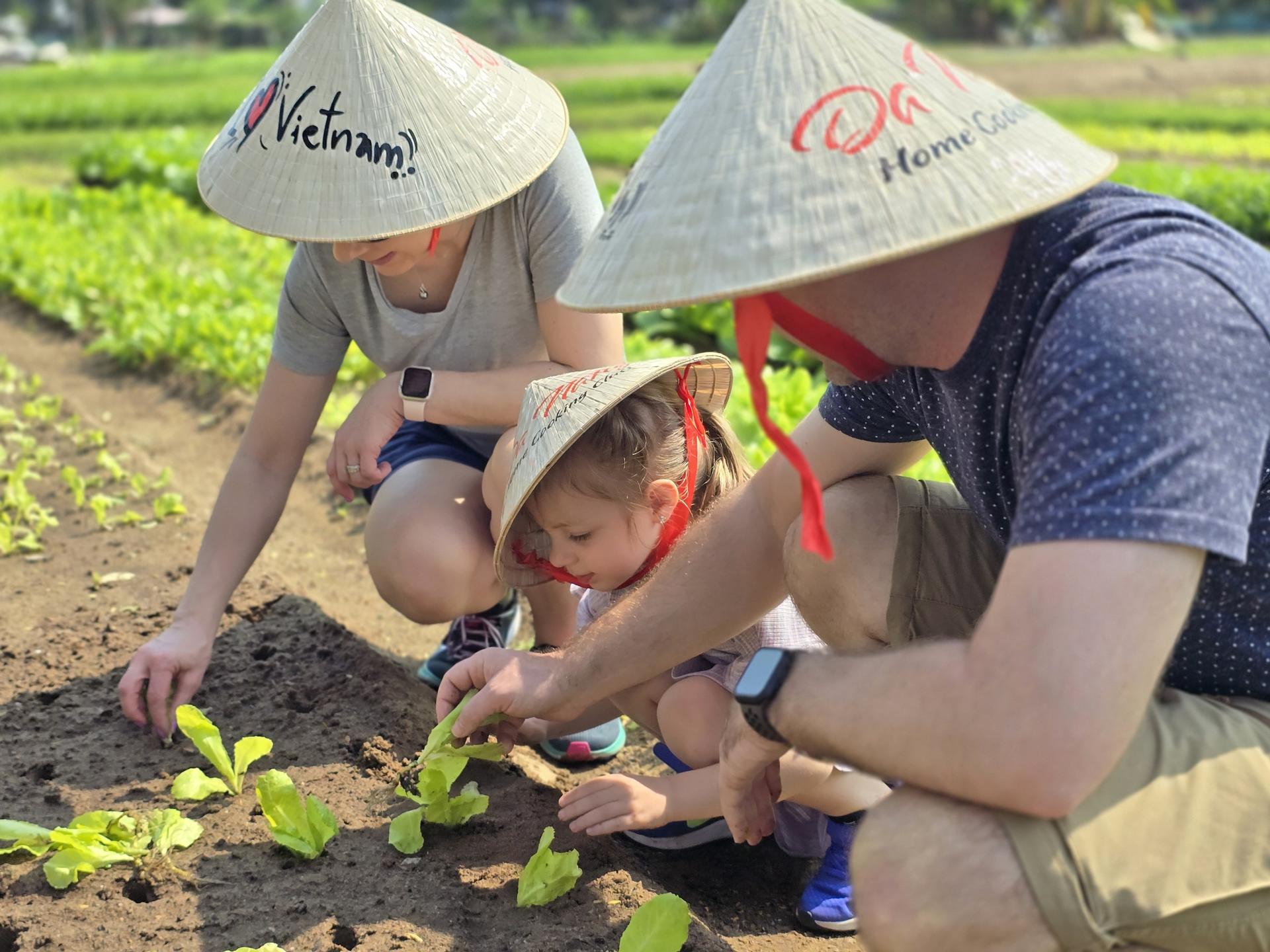 Da Nang Home Cooking Class - Thumbnail 15
