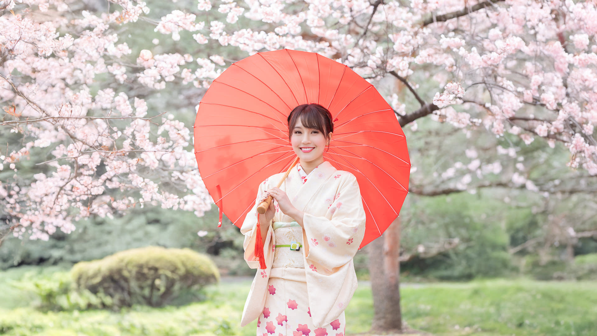 Kimono Rental inside Shinjuku Gyoen National Garden: KOUICHI STORE - Thumbnail 8