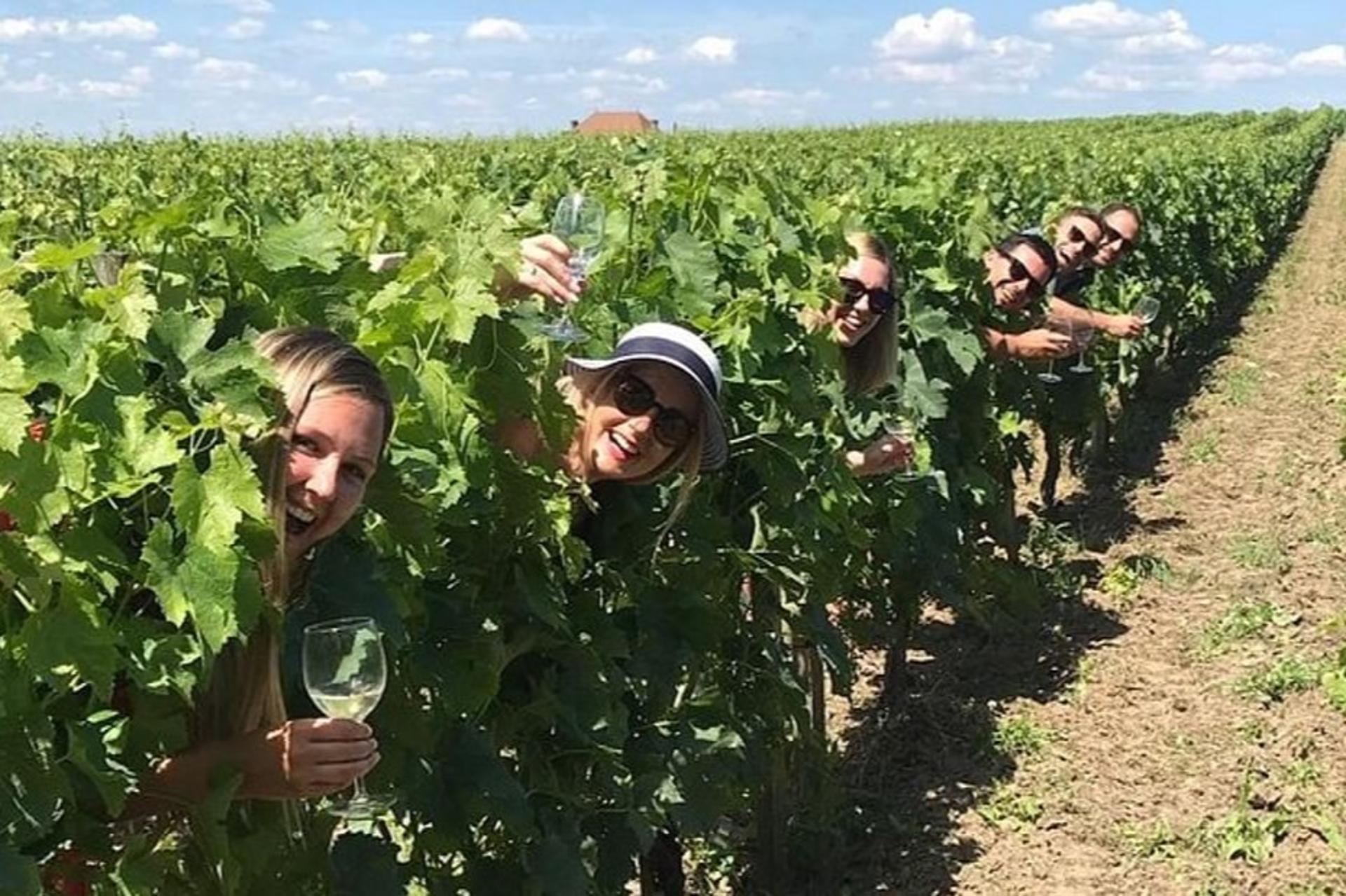 Medoc Afternoon Wine Tour with Appetizer Platter from Bordeaux - Image 1