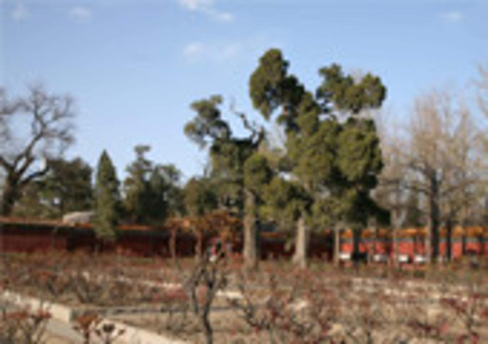 Jingshan Park Tickets - Thumbnail 16