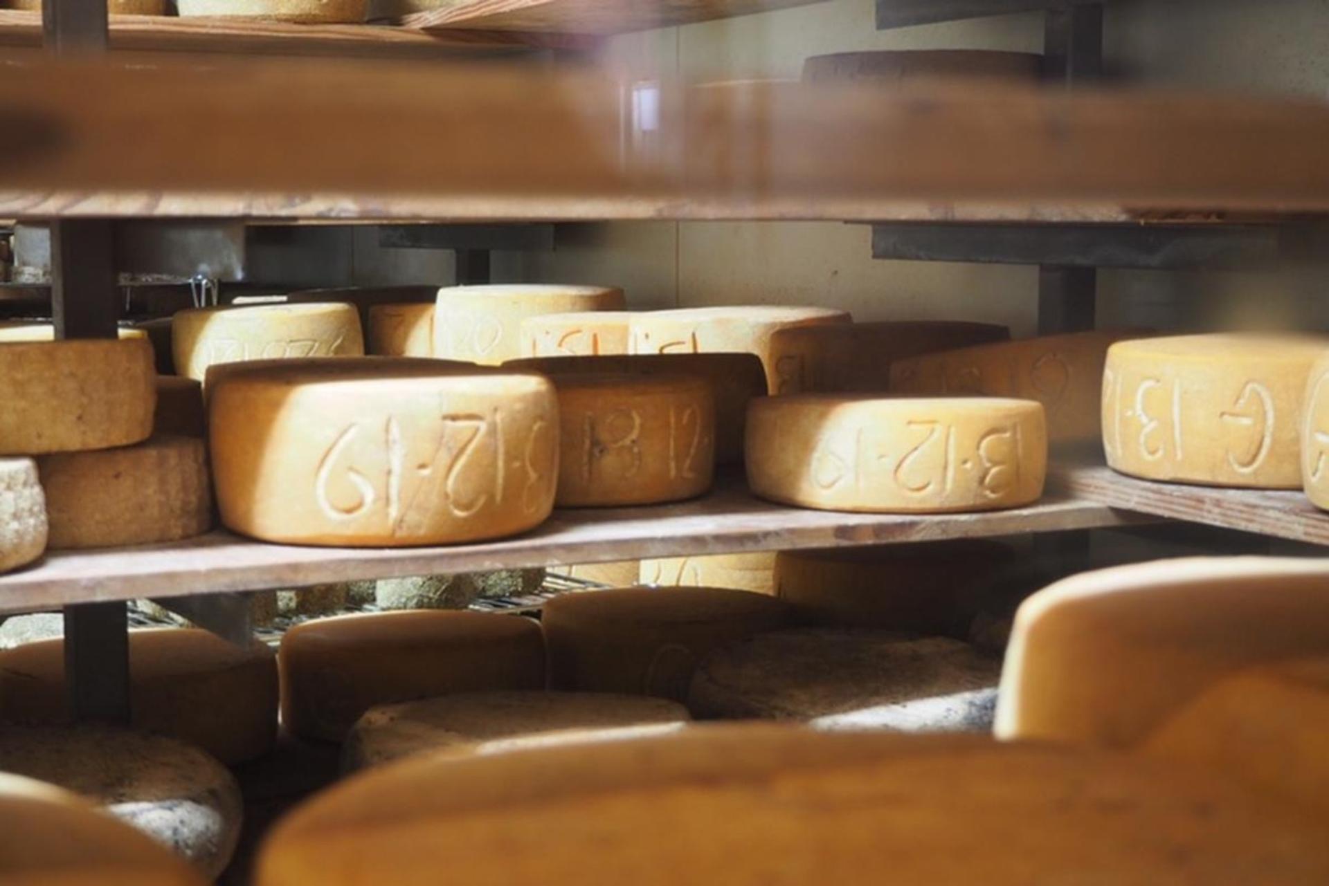 Bruny Island Gourmet Full Day Tour - Thumbnail 9