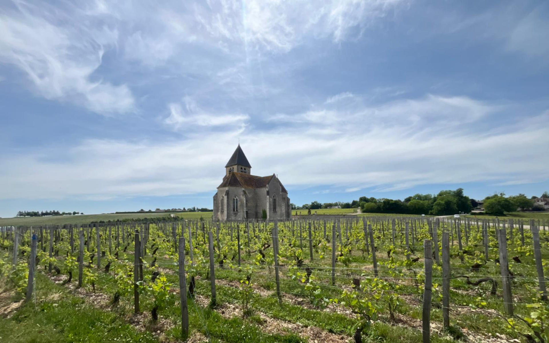 Chablis Day Trip From Paris with Wine Tasting & Lunch - Thumbnail 8