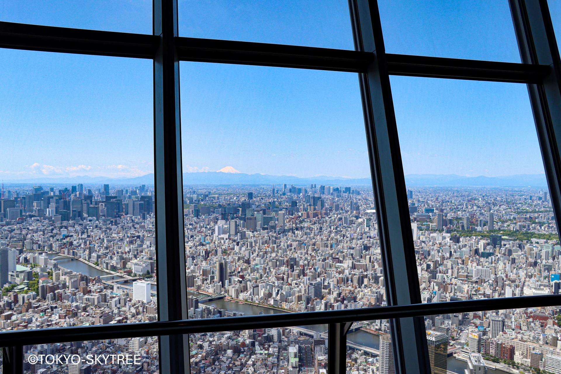 Tokyo Panoramic Full Day Tour: Meiji Shrine, Asakusa and SKYTREE® - Thumbnail 13