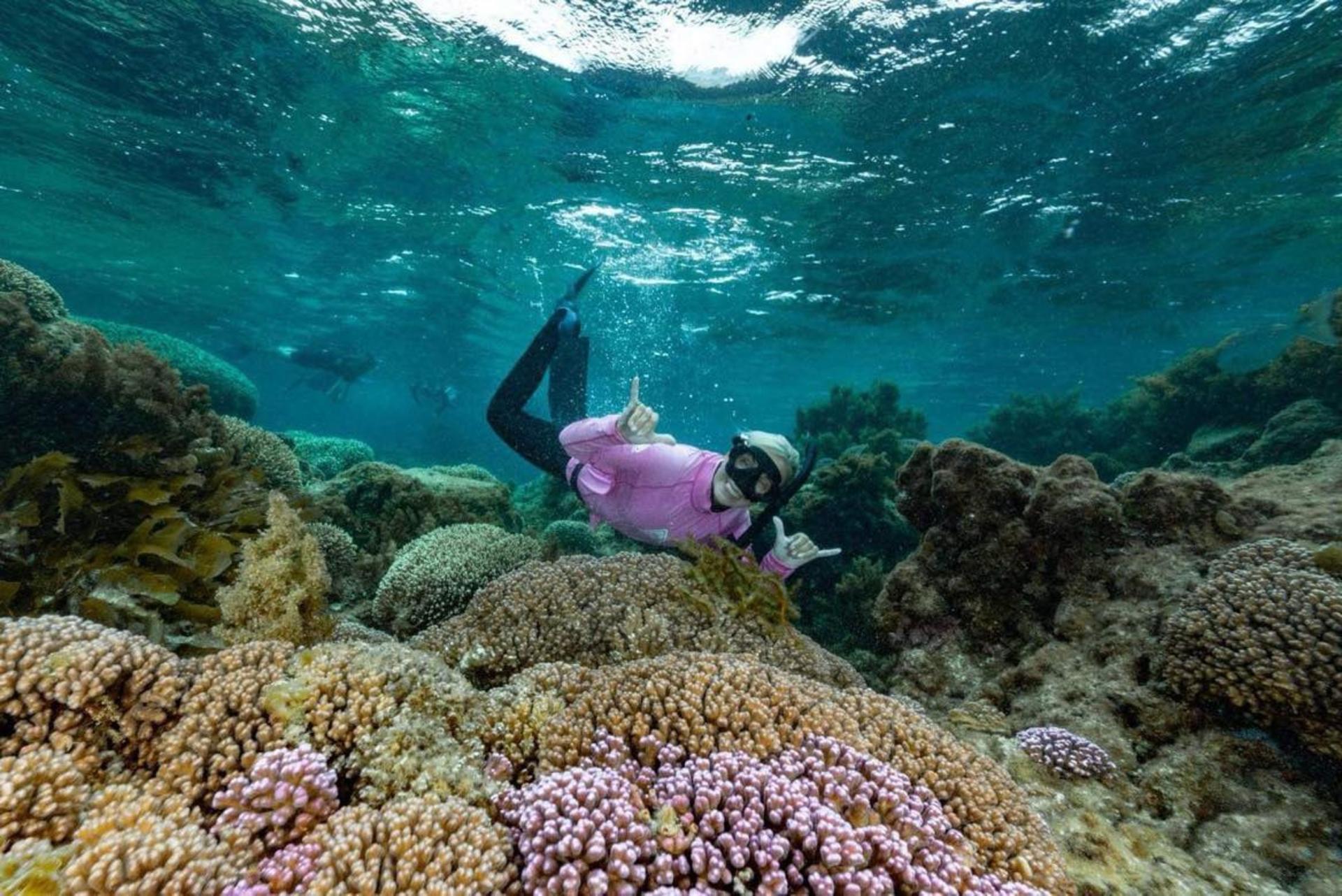 Rottnest Island Guided Snorkelling Tour - Thumbnail 11