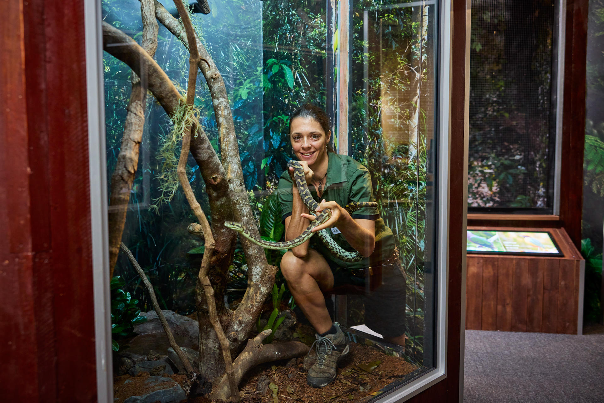 Cairns Koalas & Creatures Admission - Thumbnail 5