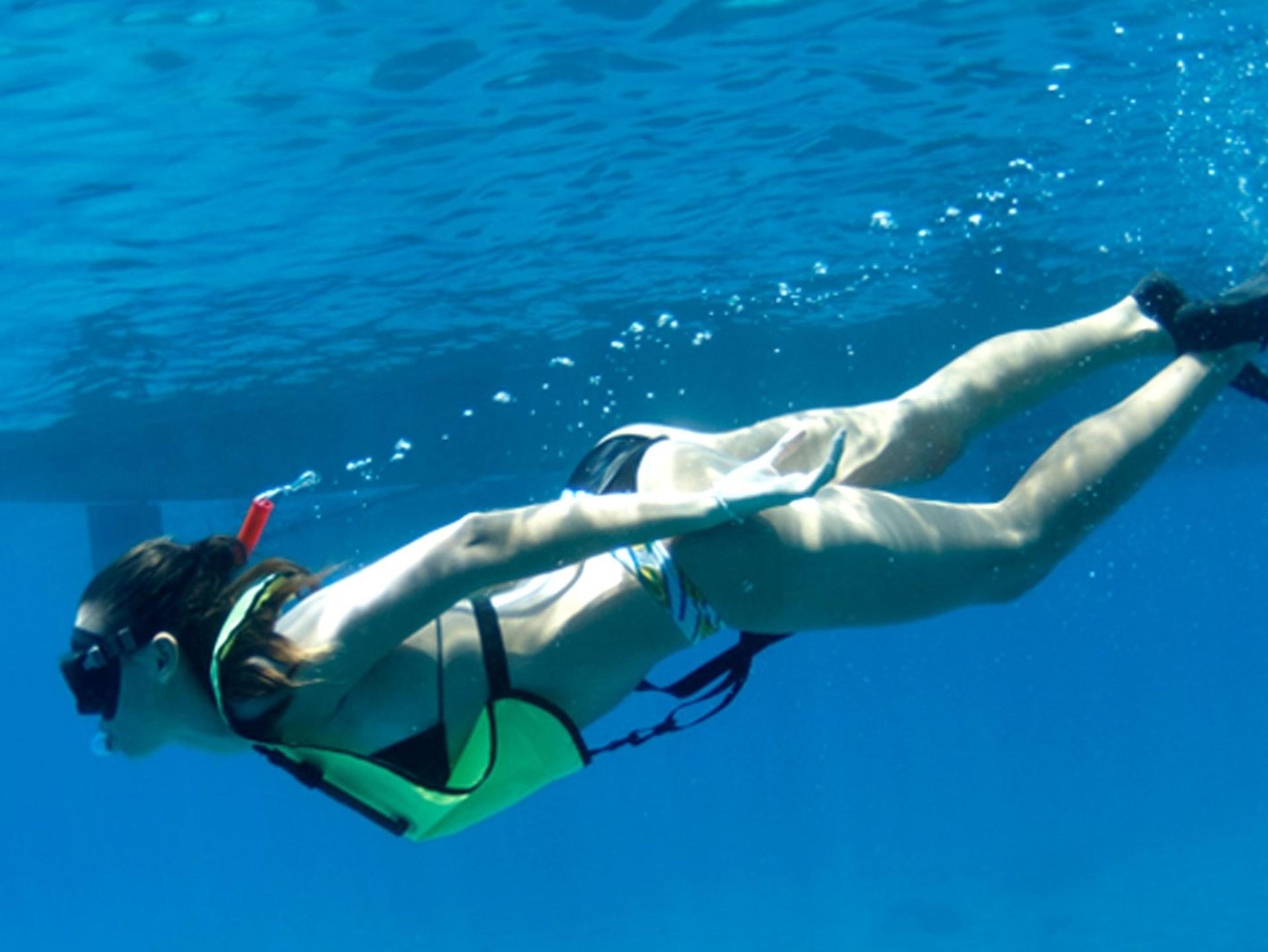 Morning Dolphin and Snorkel Excursion From Waianae Harbor - Thumbnail 2