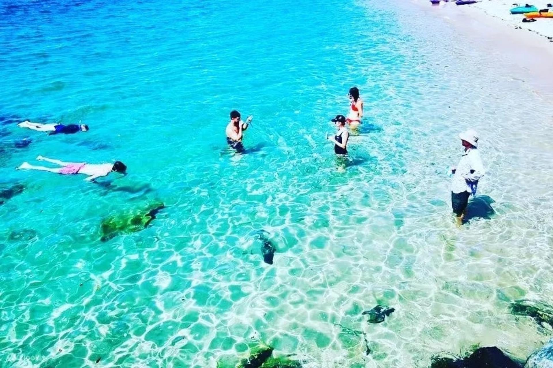 Wave Break Island Morning Kayaking & Snorkel Adventure - Thumbnail 8