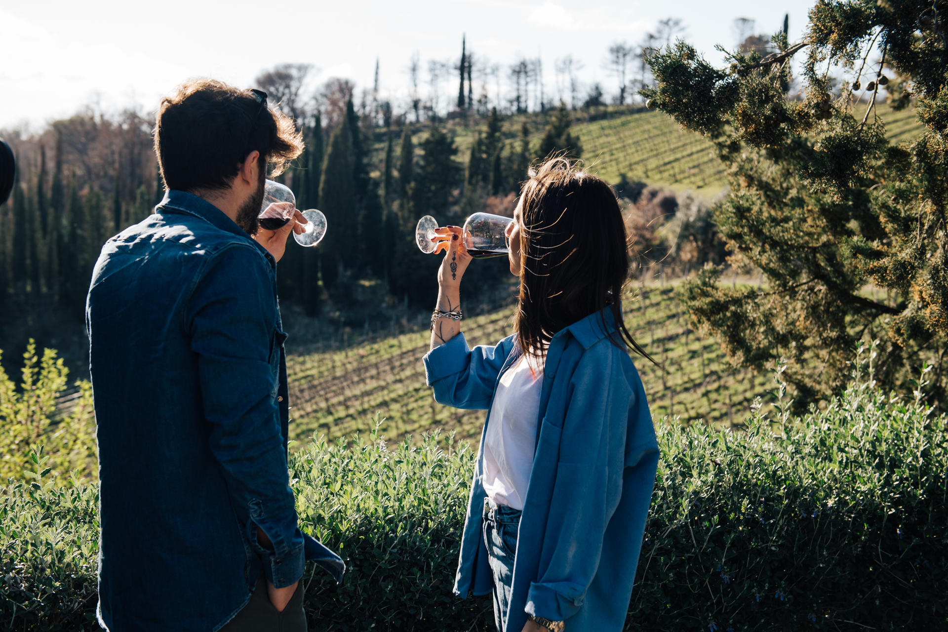 Chianti Wine Tour from Florence with Tastings - Image 1