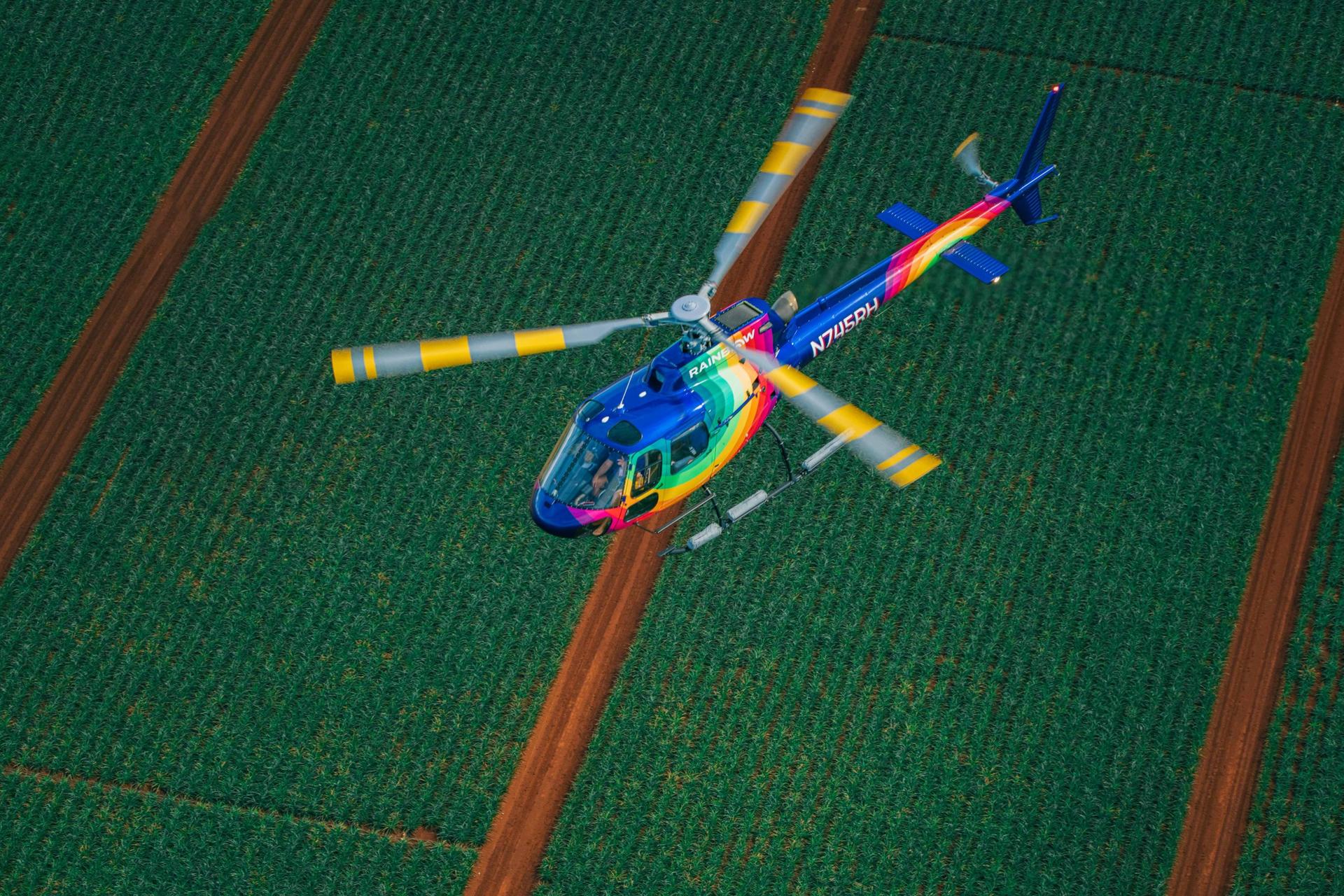 Isle Sights Unseen 45 Minutes Helicopter Doors On/Doors Off Tour - Thumbnail 14