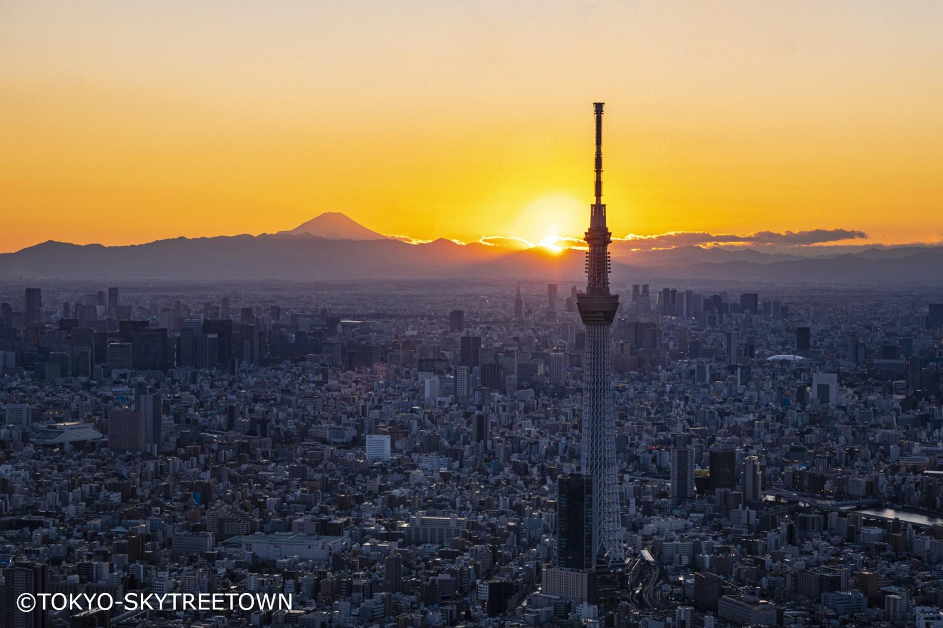Tokyo Panoramic Full Day Tour: Meiji Shrine, Asakusa and SKYTREE® - Thumbnail 10