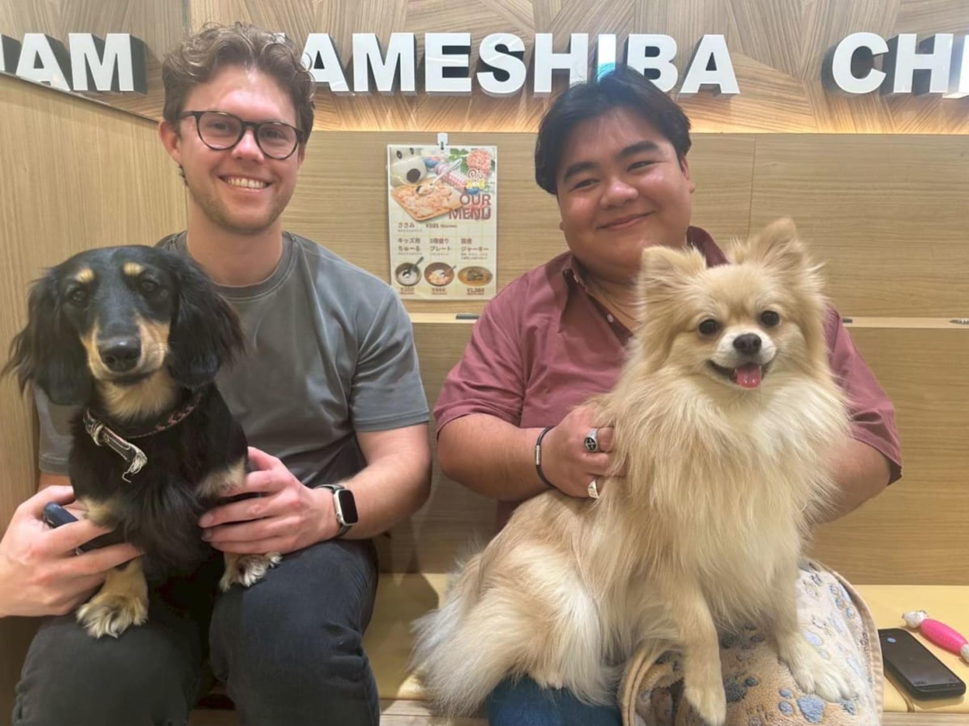 Play with Dogs at Dog Cafe Rio Akihabara [Dog Cafe Rio Akihabara] - Thumbnail 7