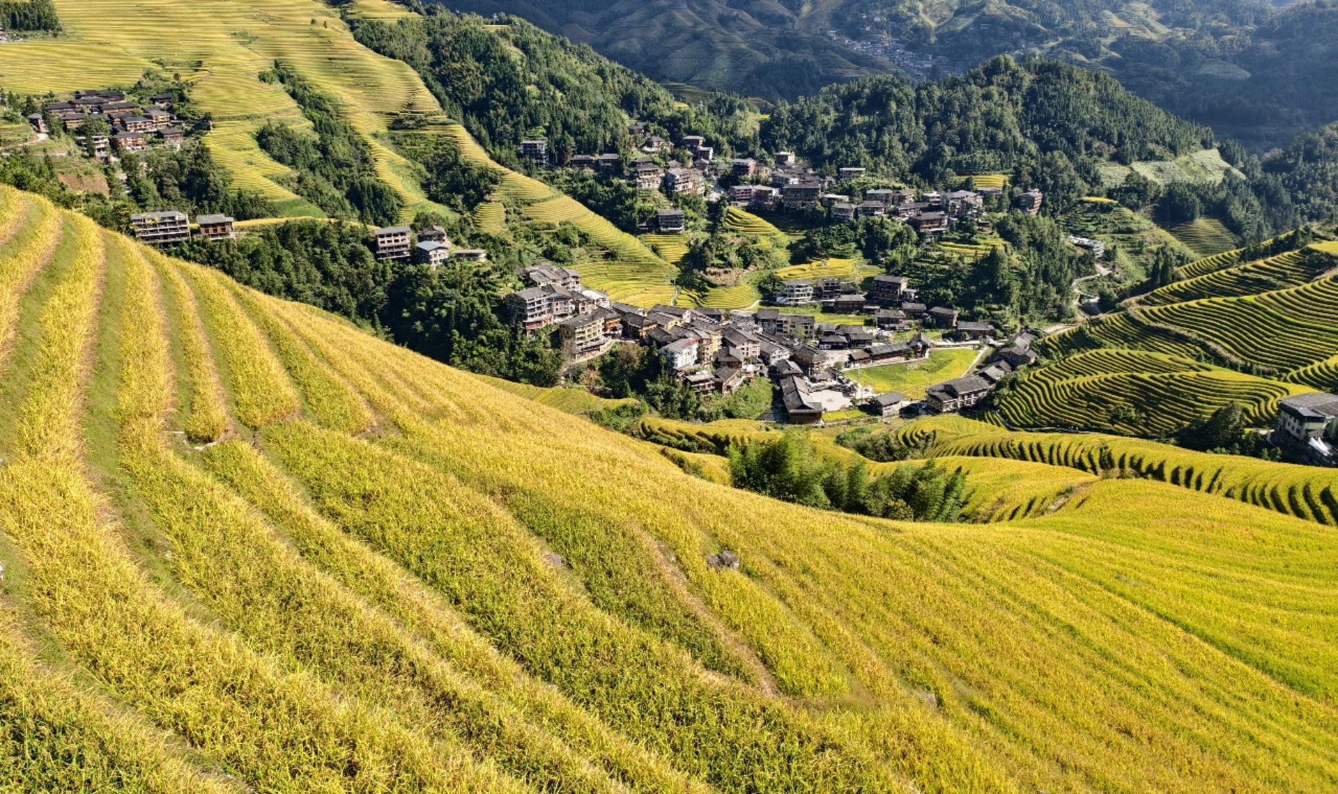 Must-see in Guilin! Longji Rice Terraces Day Tour from Guilin (round trip from Guilin city) - Thumbnail 6